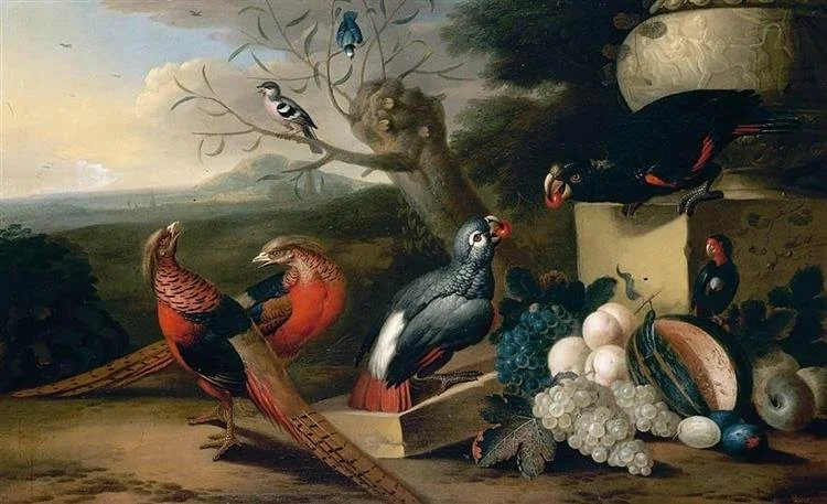 birds of a feather