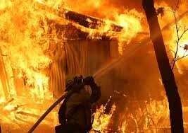 "At Home in the Woods" - FEMA