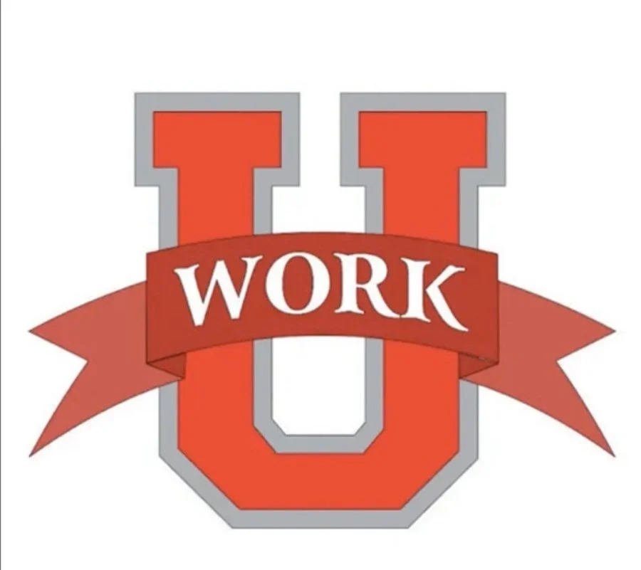 International Disaster Responder Career Informational Interview - Work University