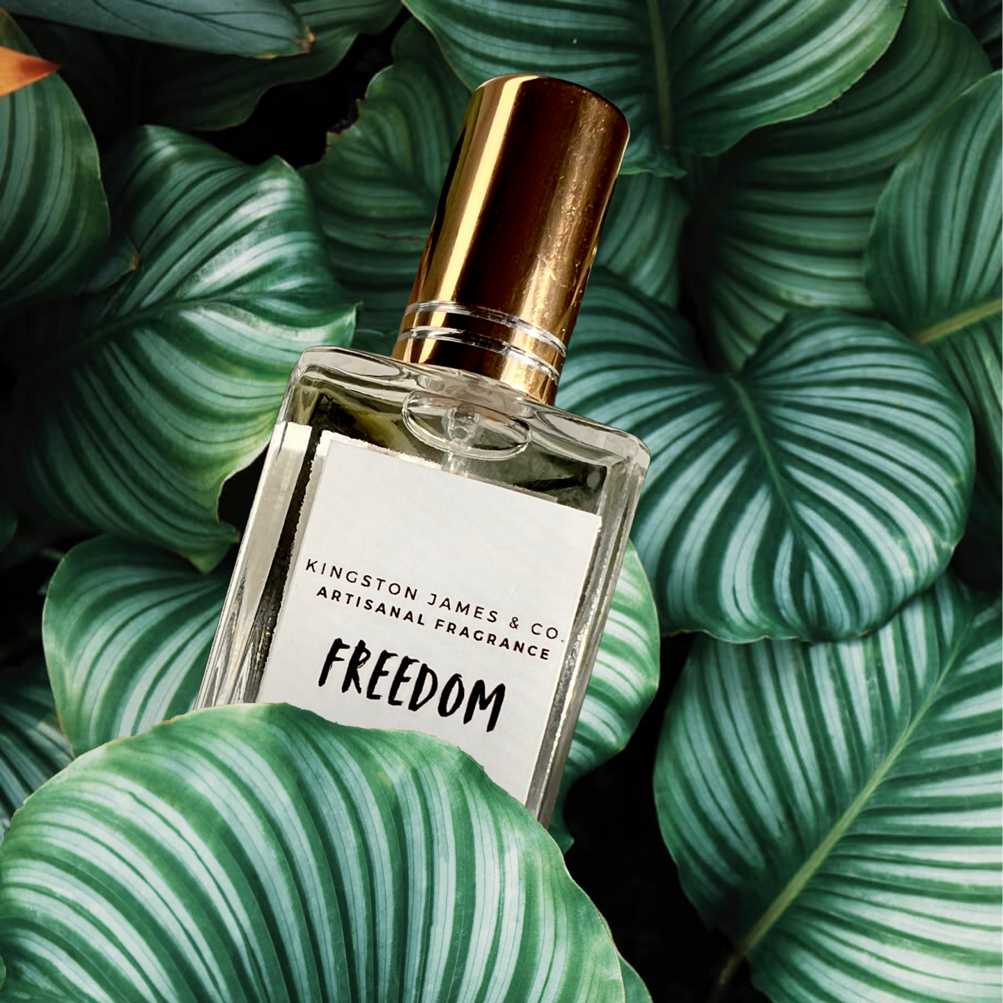 FREEDOM Fragrance