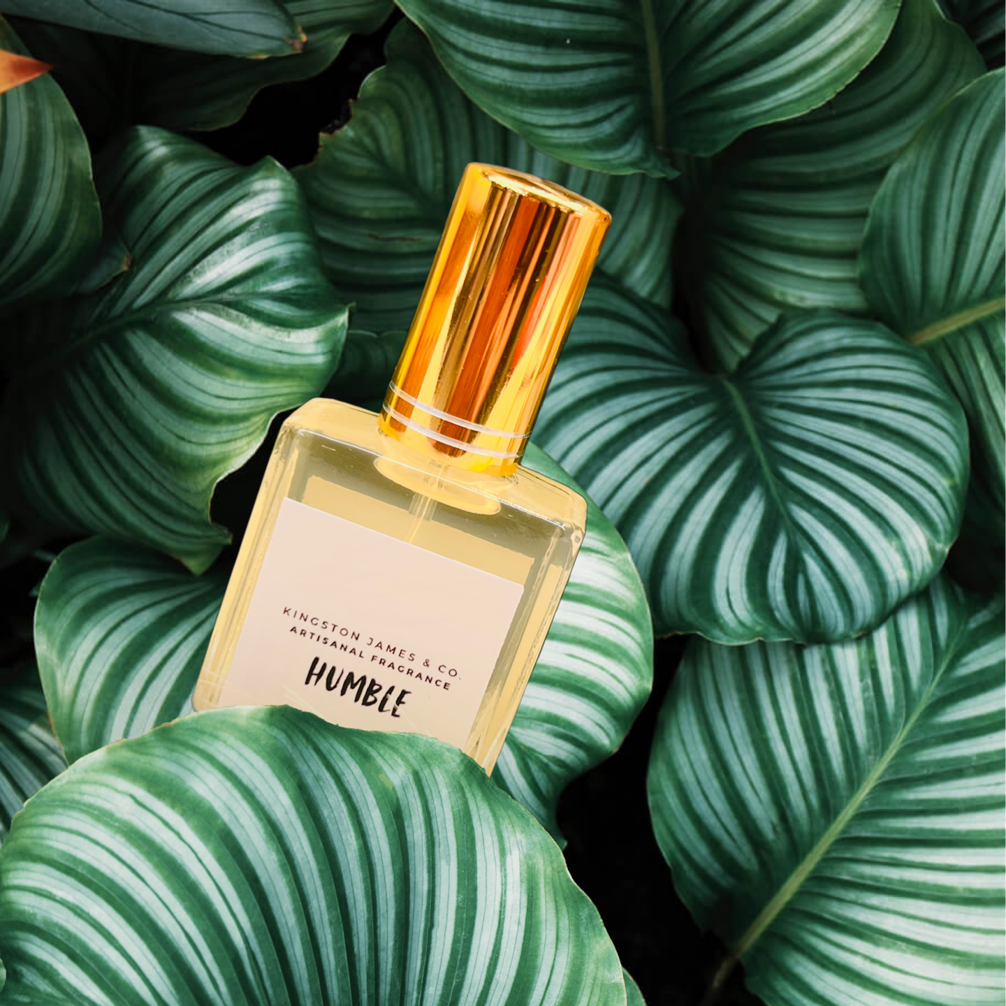 HUMBLE Fragrance