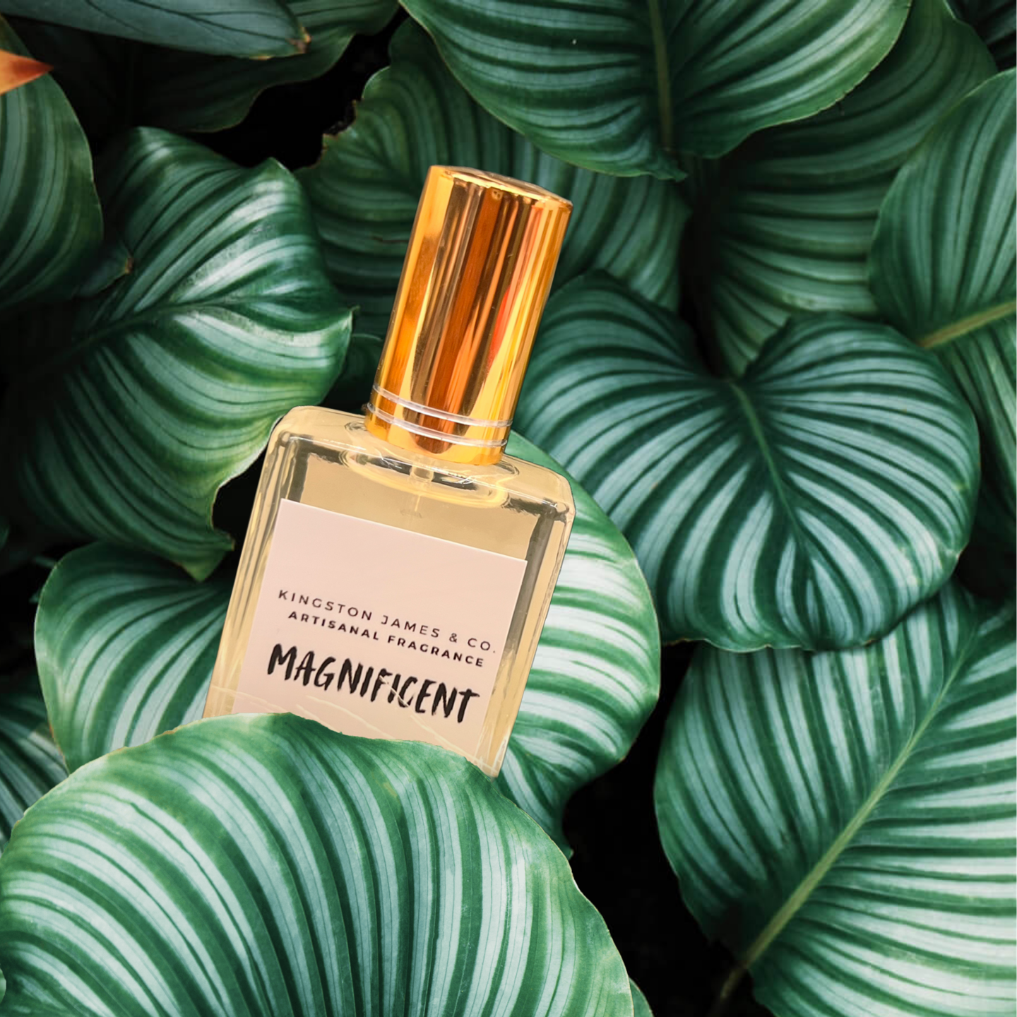 MAGNIFICENT Fragrance