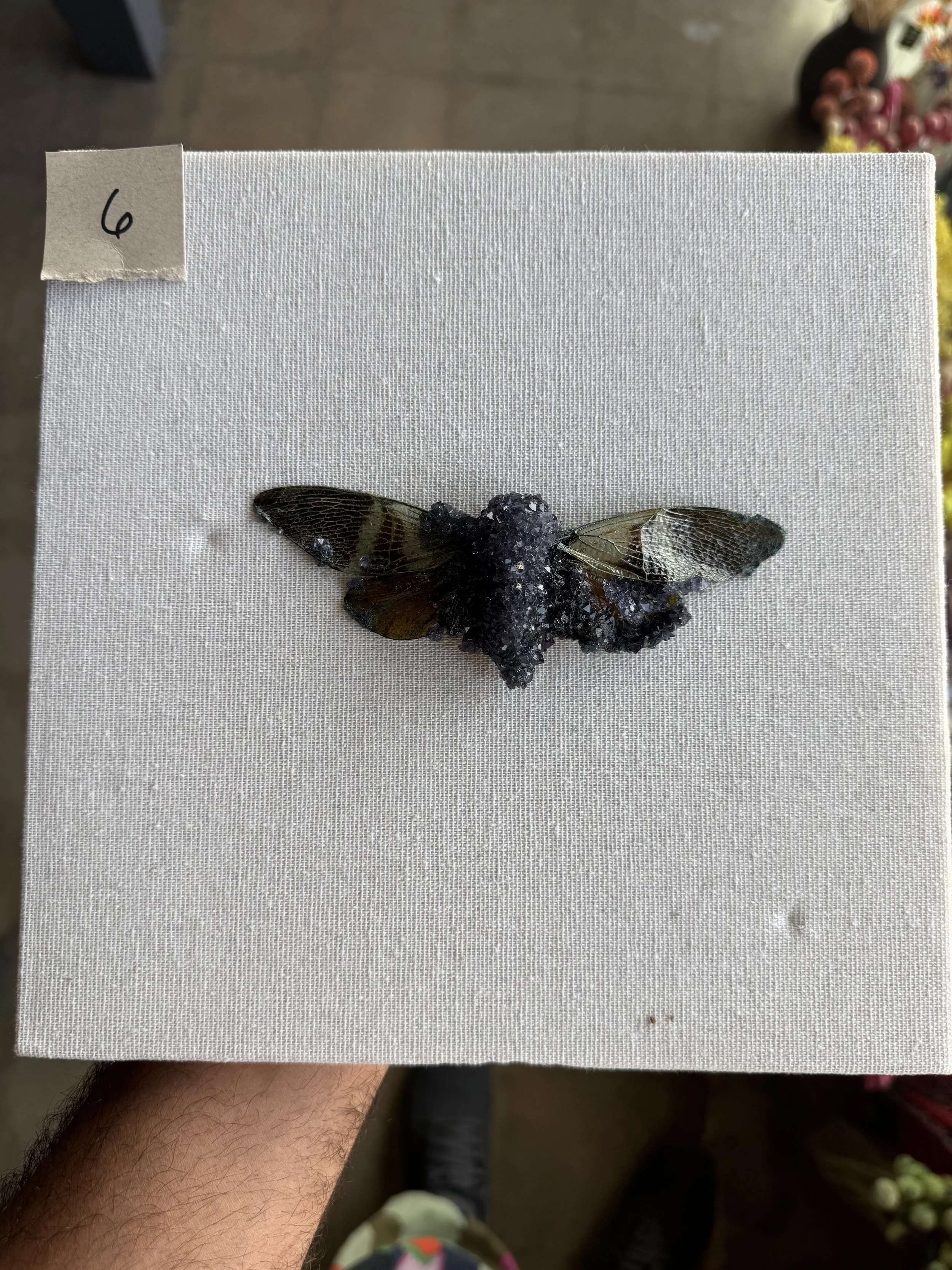 Photo Apr 29 2026, 9 48 52 AM.jpg