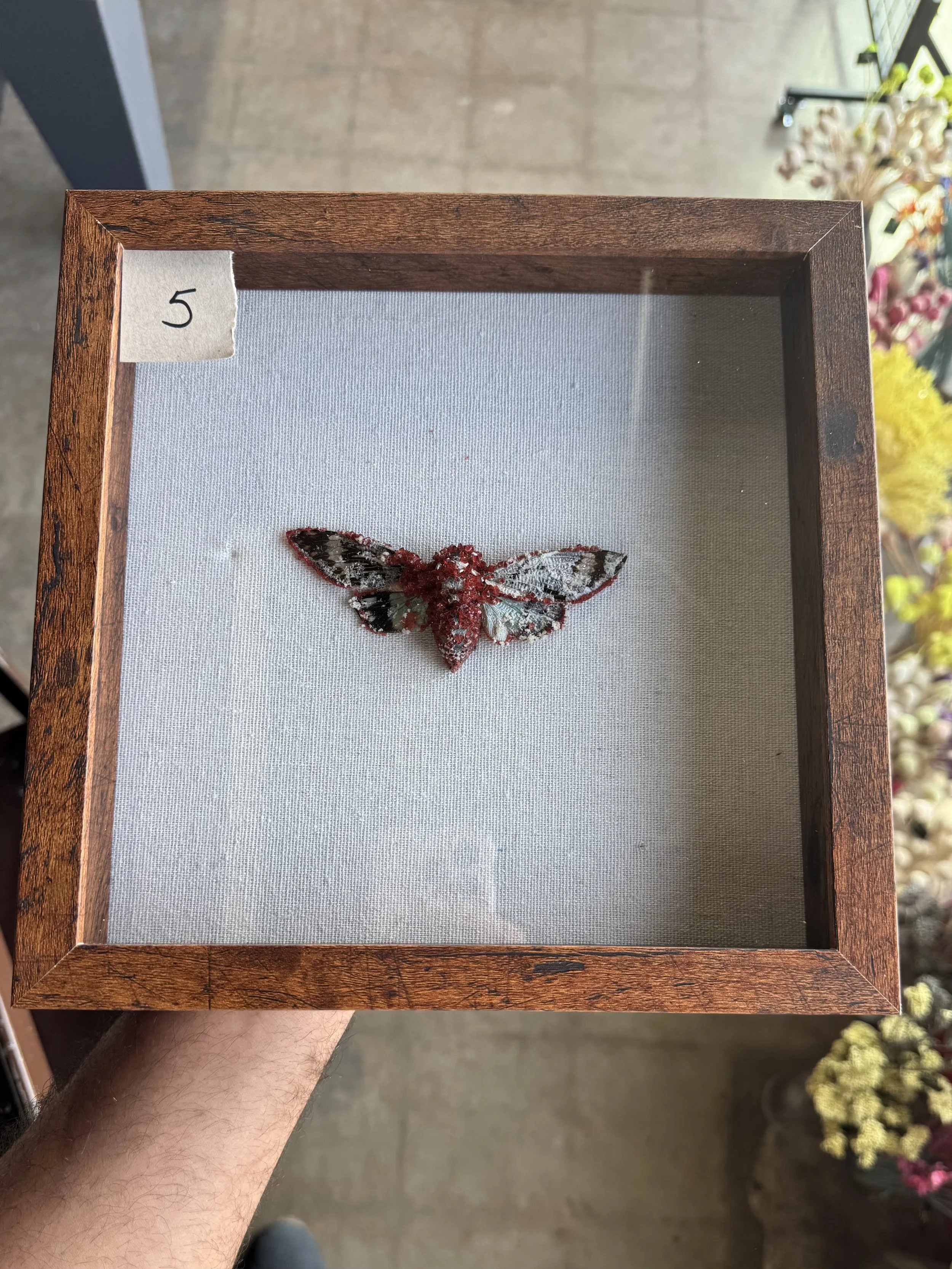 Photo Apr 29 2026, 10 07 11 AM.jpg