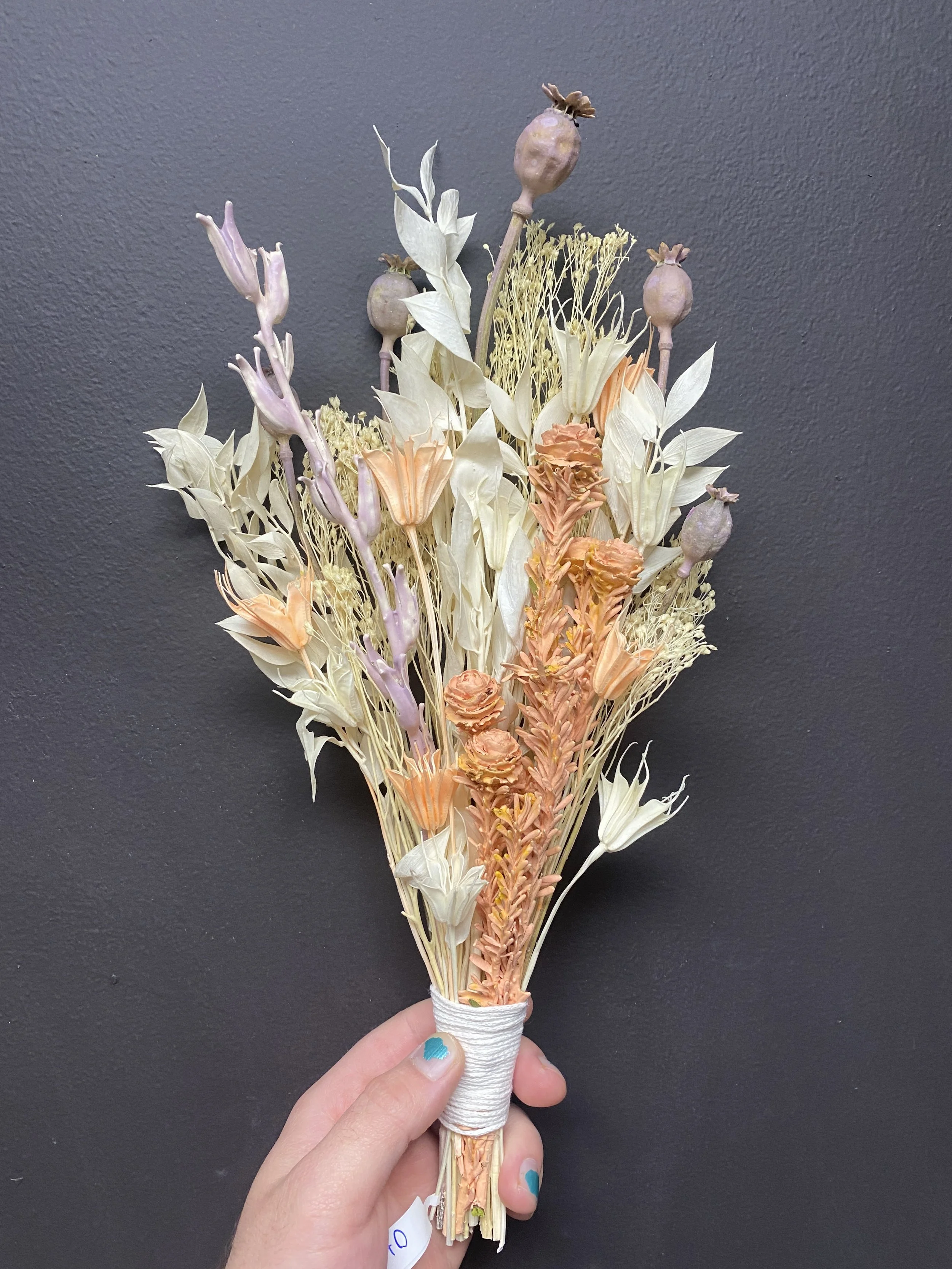 Photo Apr 28 2026, 1 10 59 PM.jpg