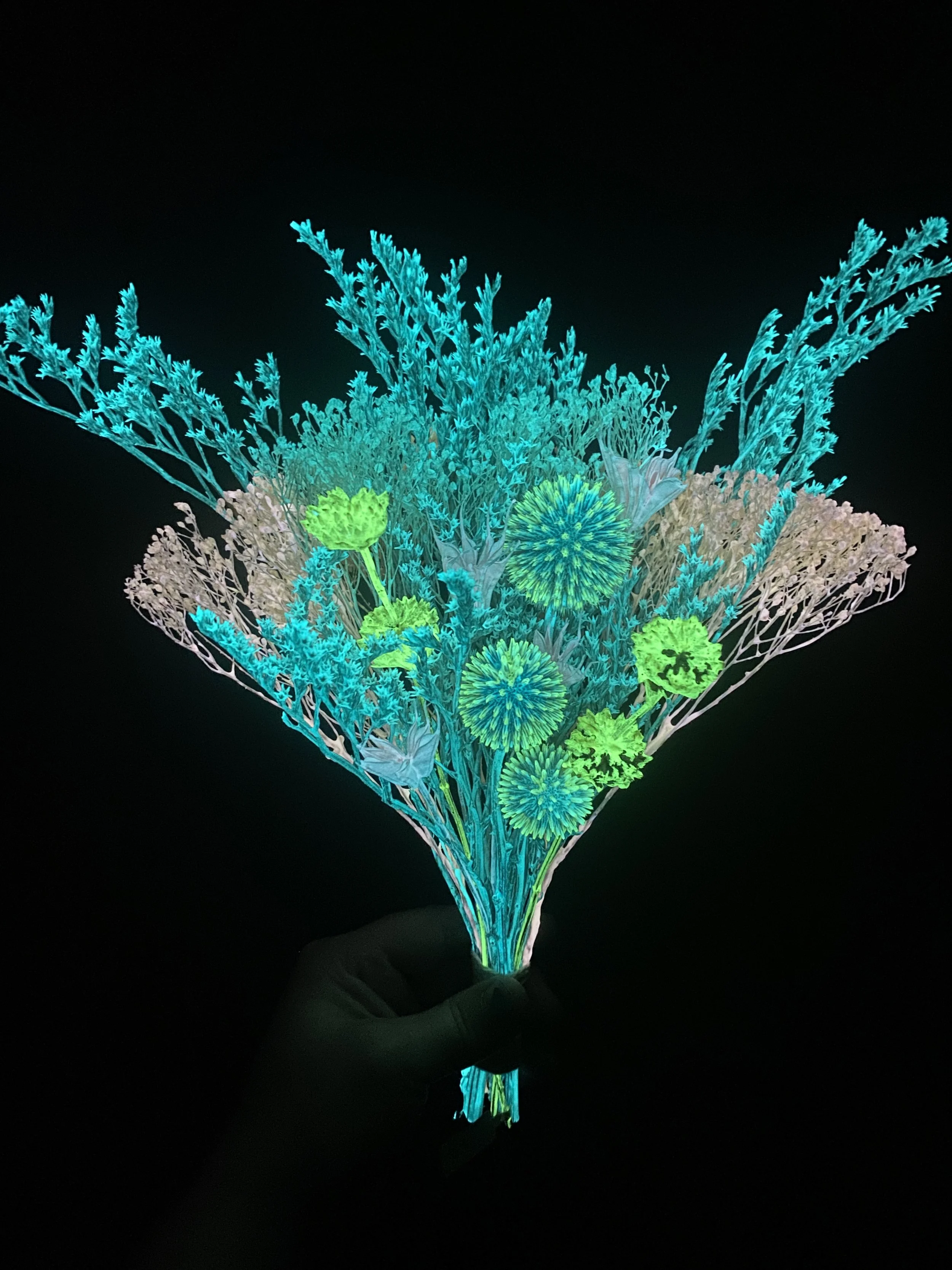 Photo Apr 28 2026, 12 13 28 PM.jpg