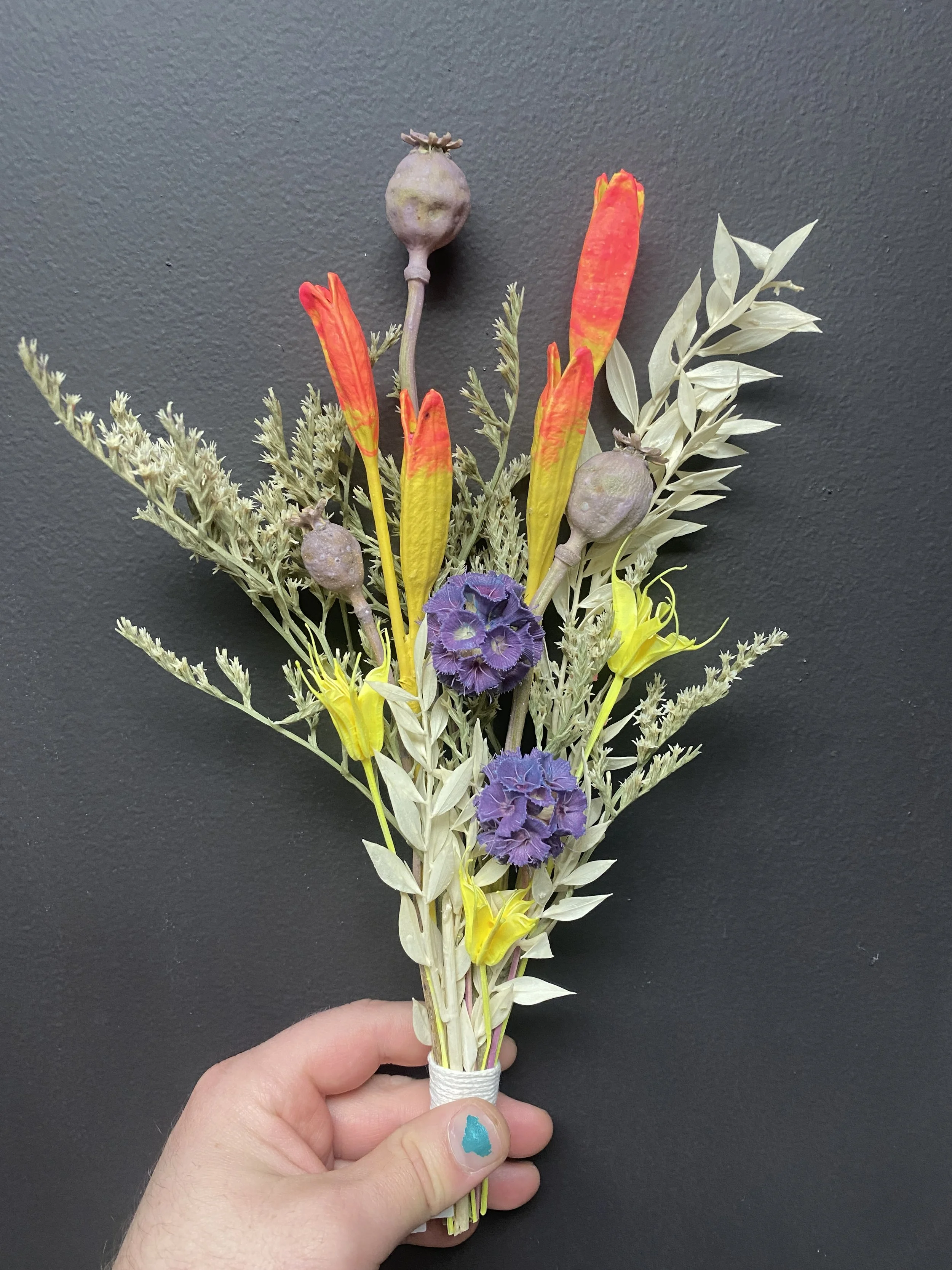 Photo Apr 28 2026, 10 43 32 AM.jpg