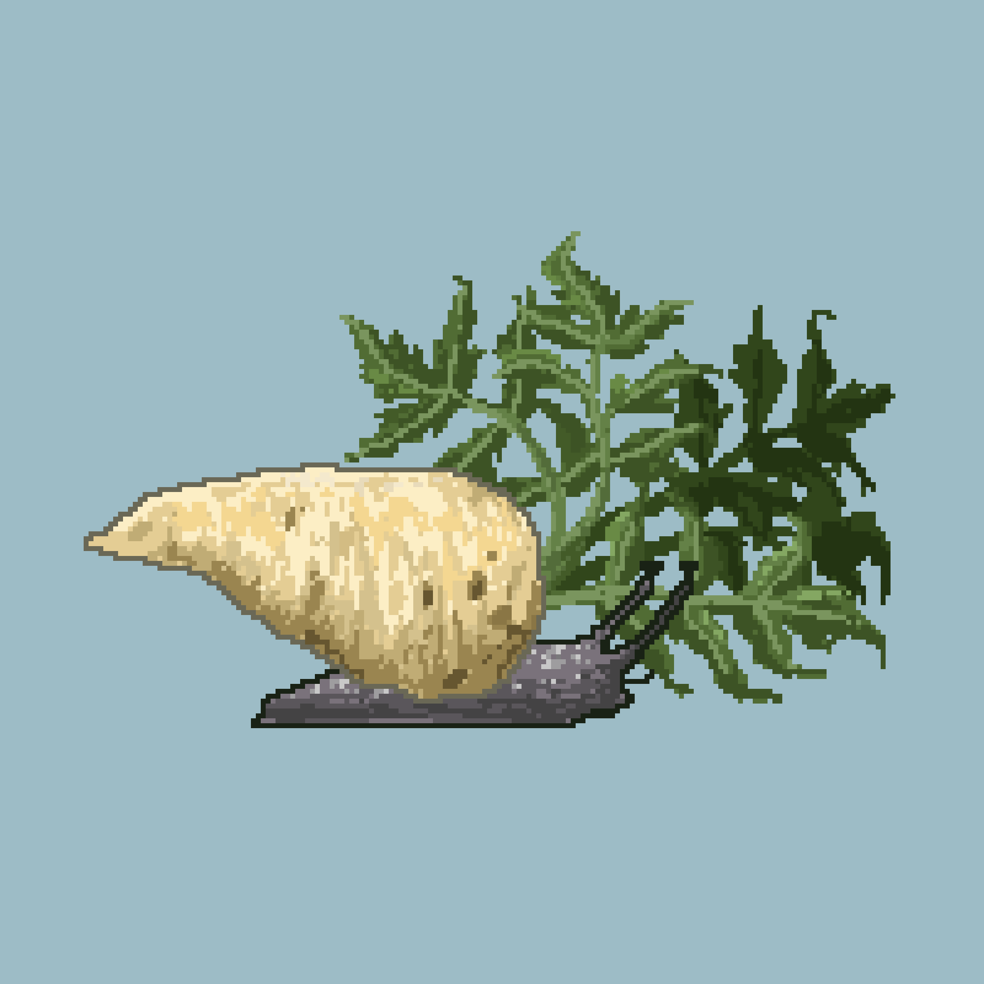 Untitled 7.png