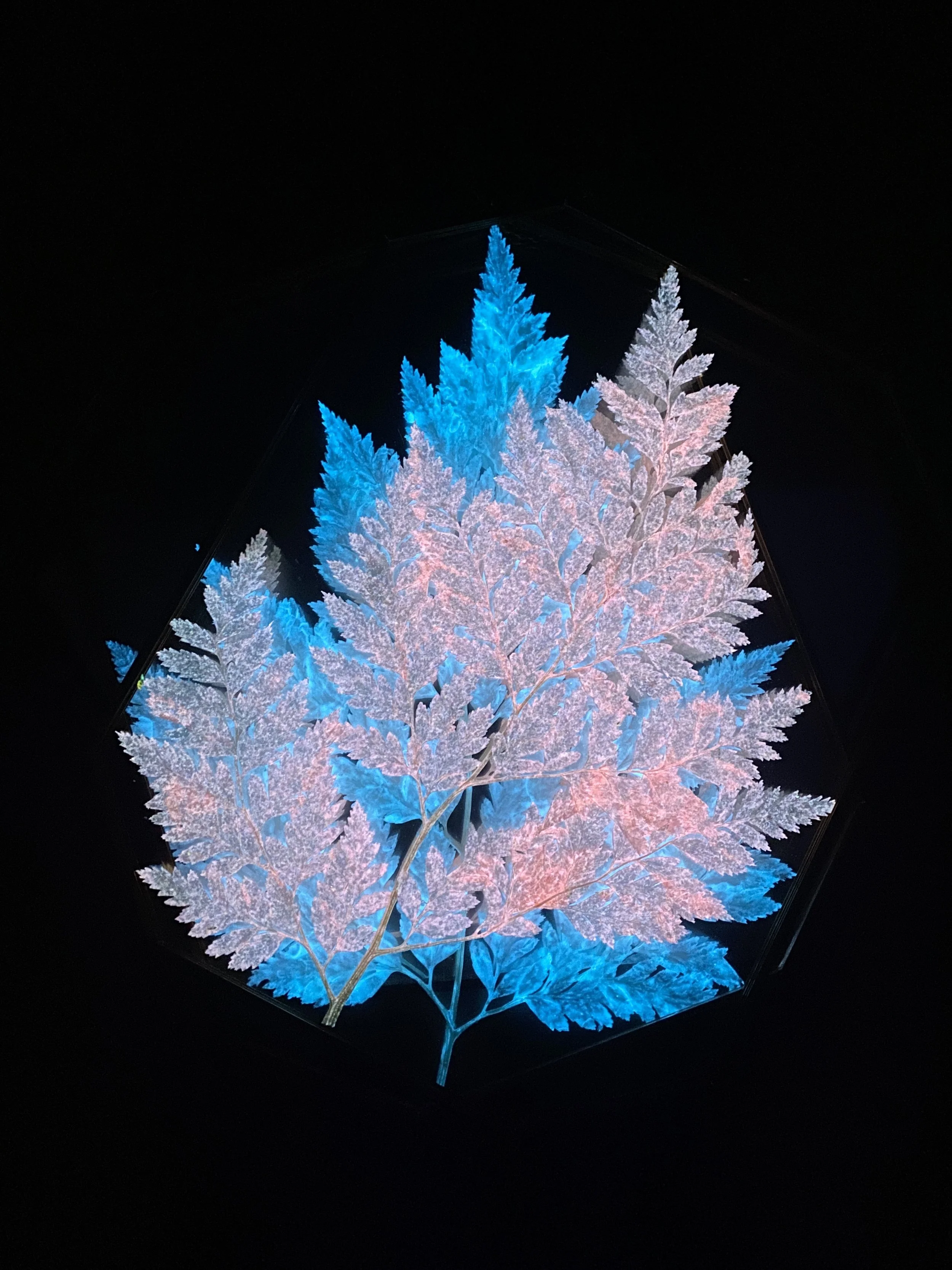 Photo Feb 26 2026, 11 46 12 AM.jpg