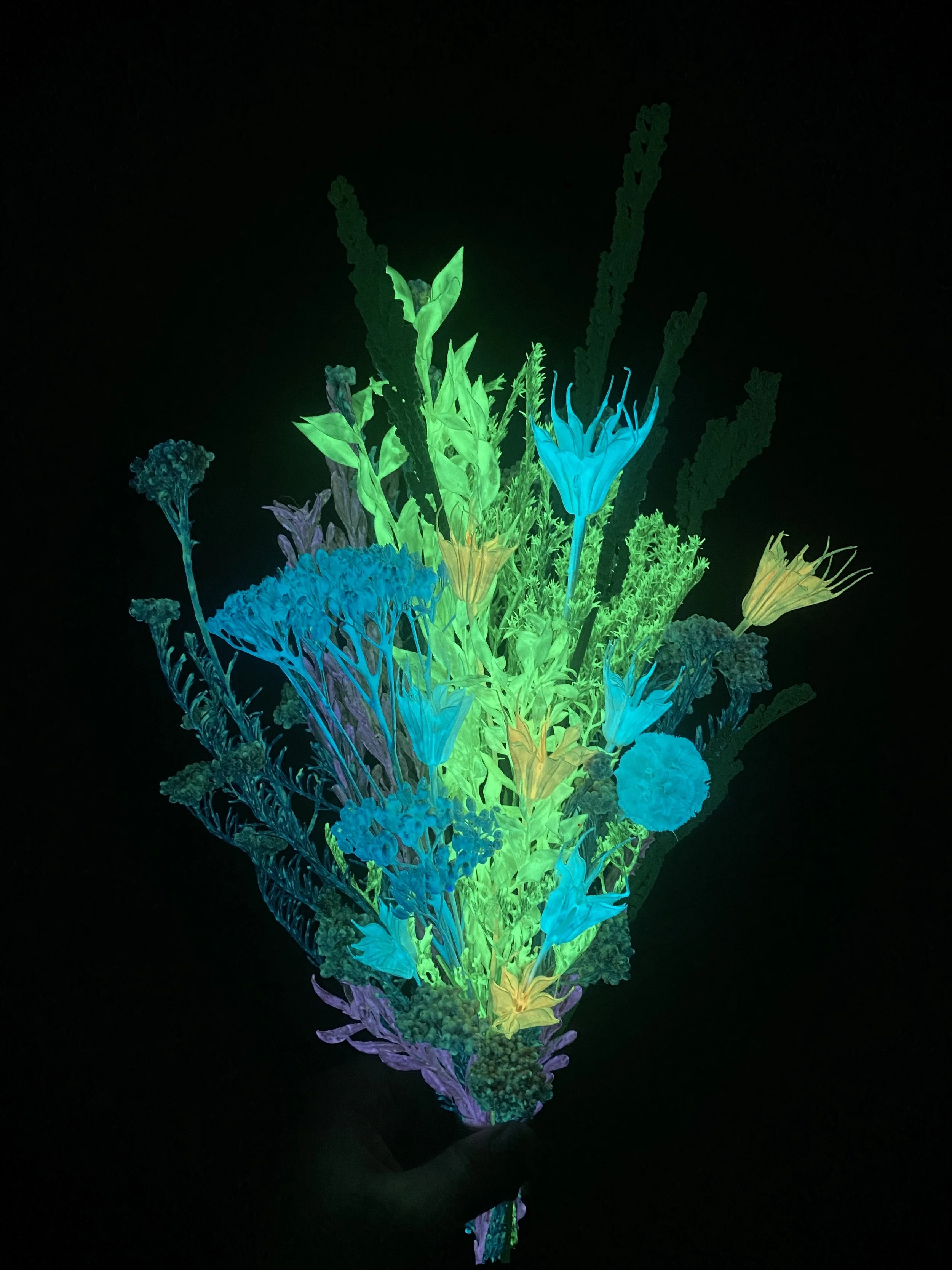 Photo Apr 28 2026, 1 10 35 PM.jpg