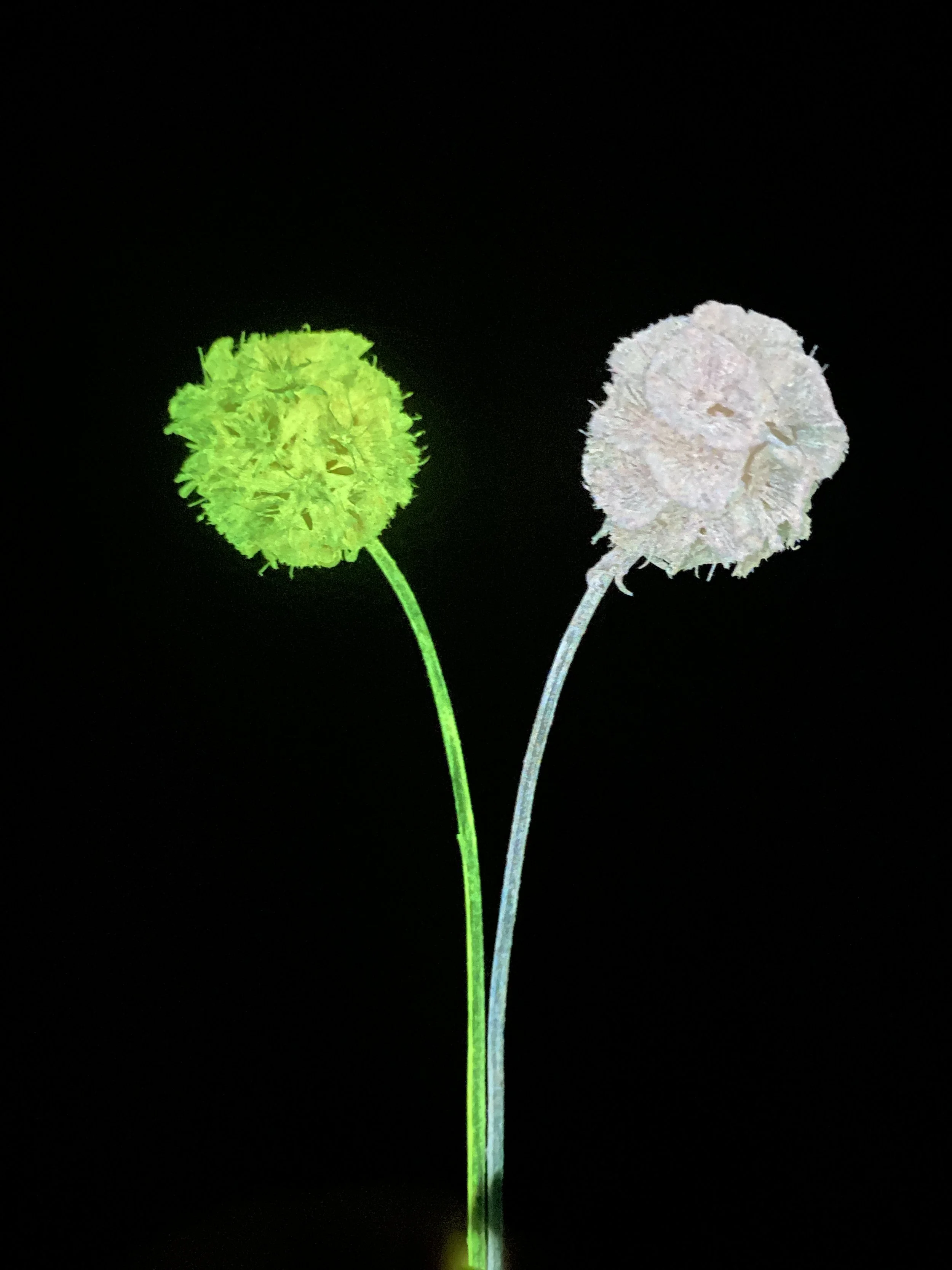 Photo Mar 13 2026, 1 46 55 PM.jpg