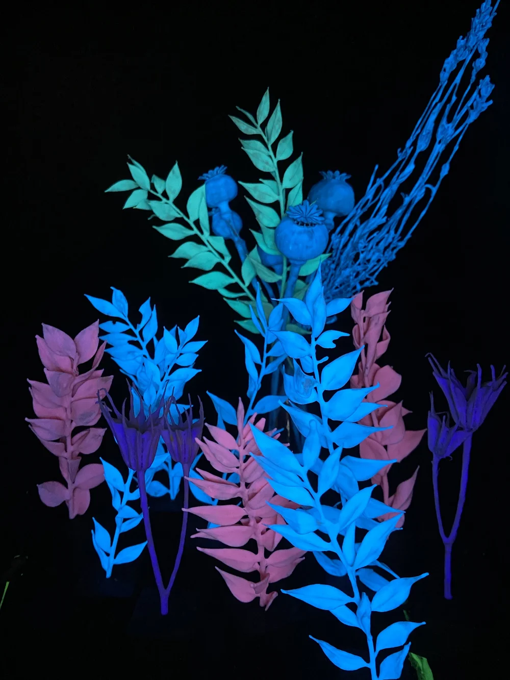 Moonbeam Flora Subscription Box — Tyler Thrasher - Main Image