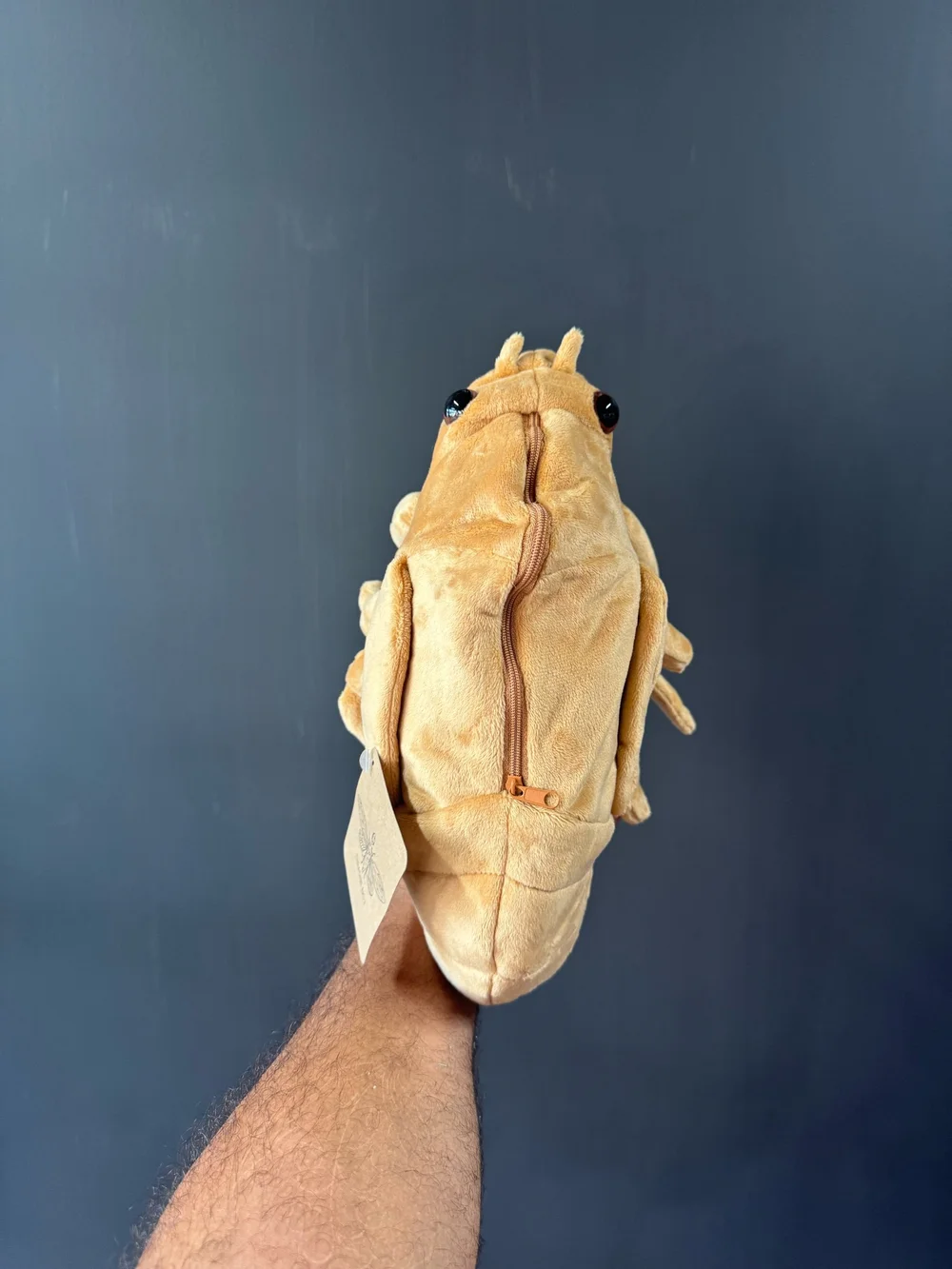 Molting Cicada Thrashie — Tyler Thrasher