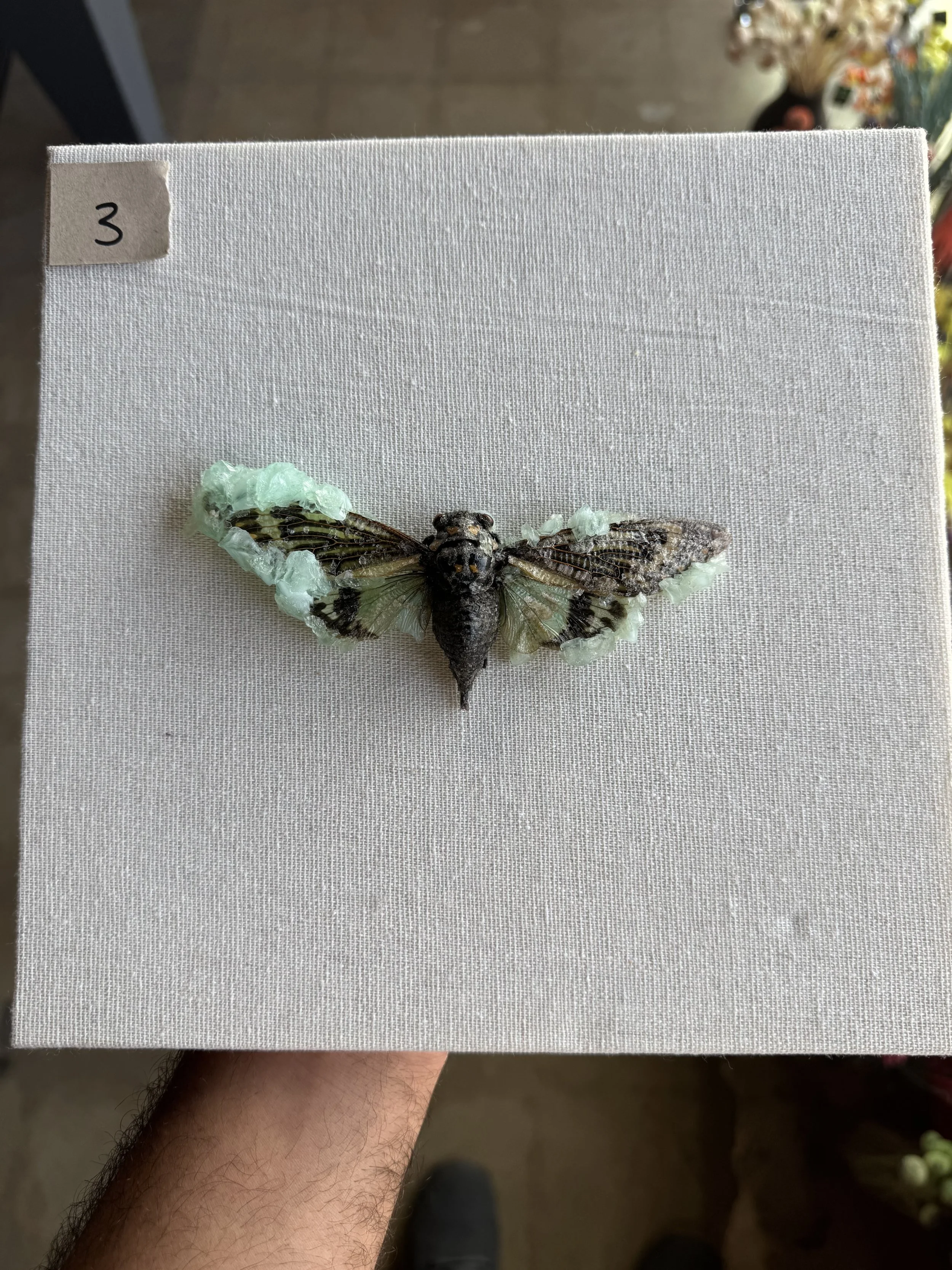 Photo Apr 29 2026, 9 48 03 AM.jpg