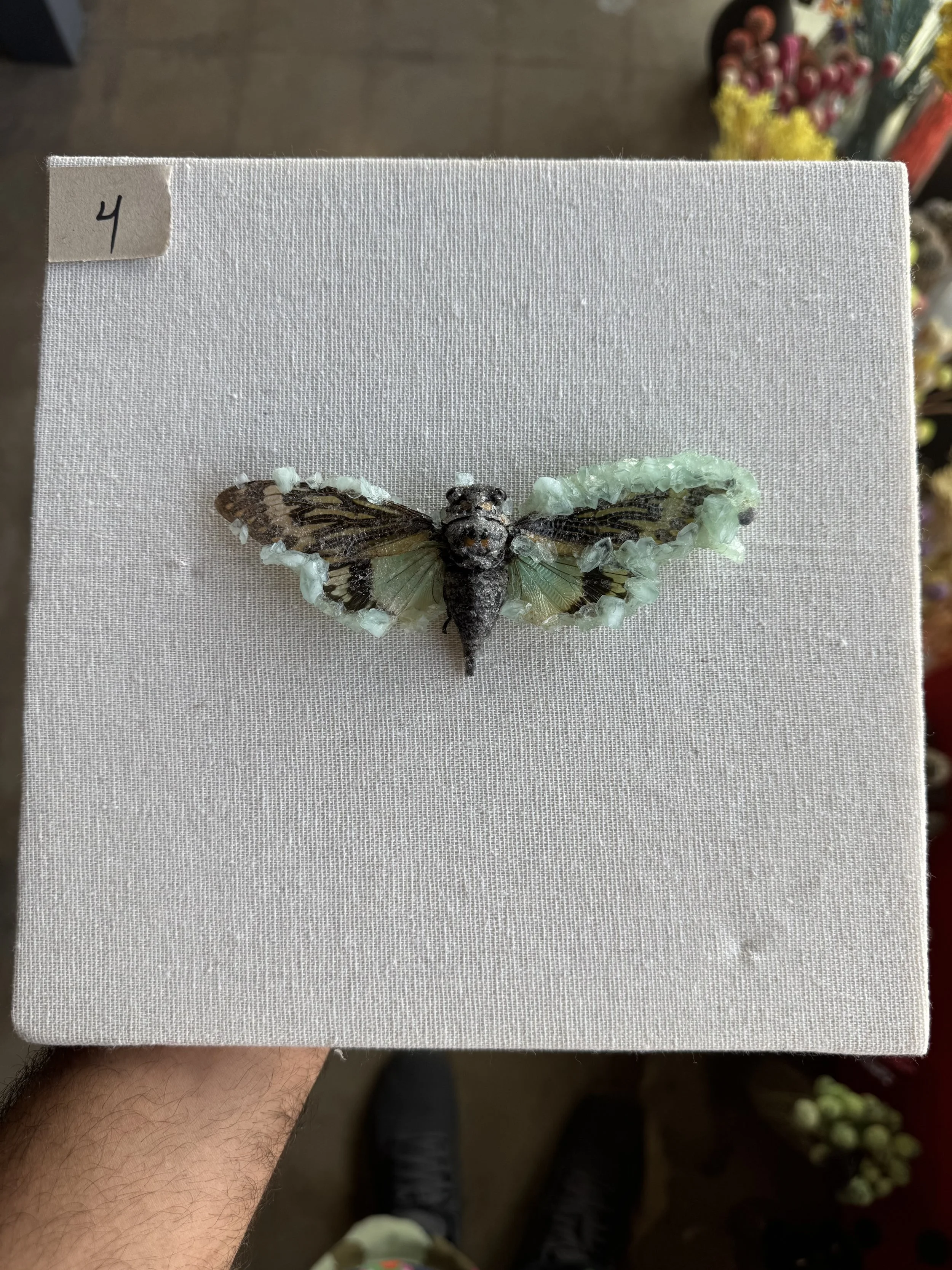 Photo Apr 29 2026, 9 48 39 AM.jpg