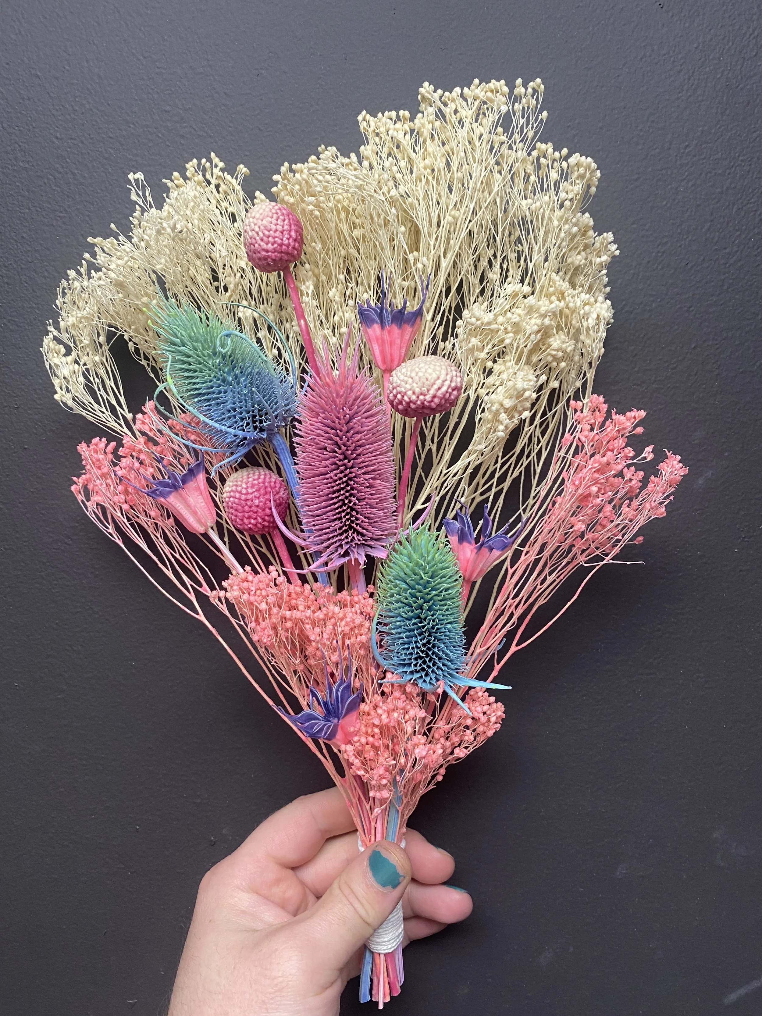 Photo Apr 17 2026, 3 50 46 PM.jpg