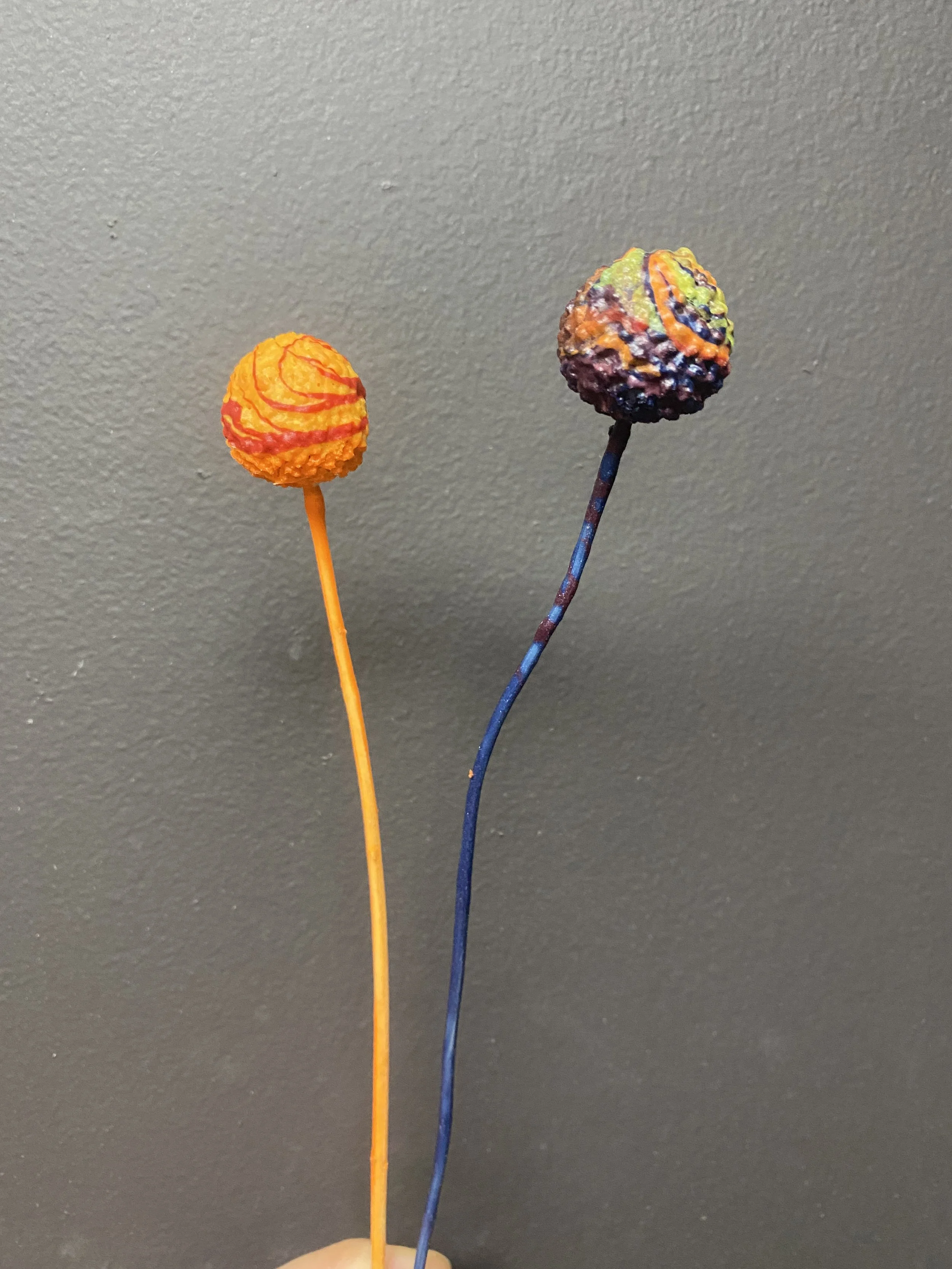 Photo Apr 15 2026, 10 26 23 AM.jpg