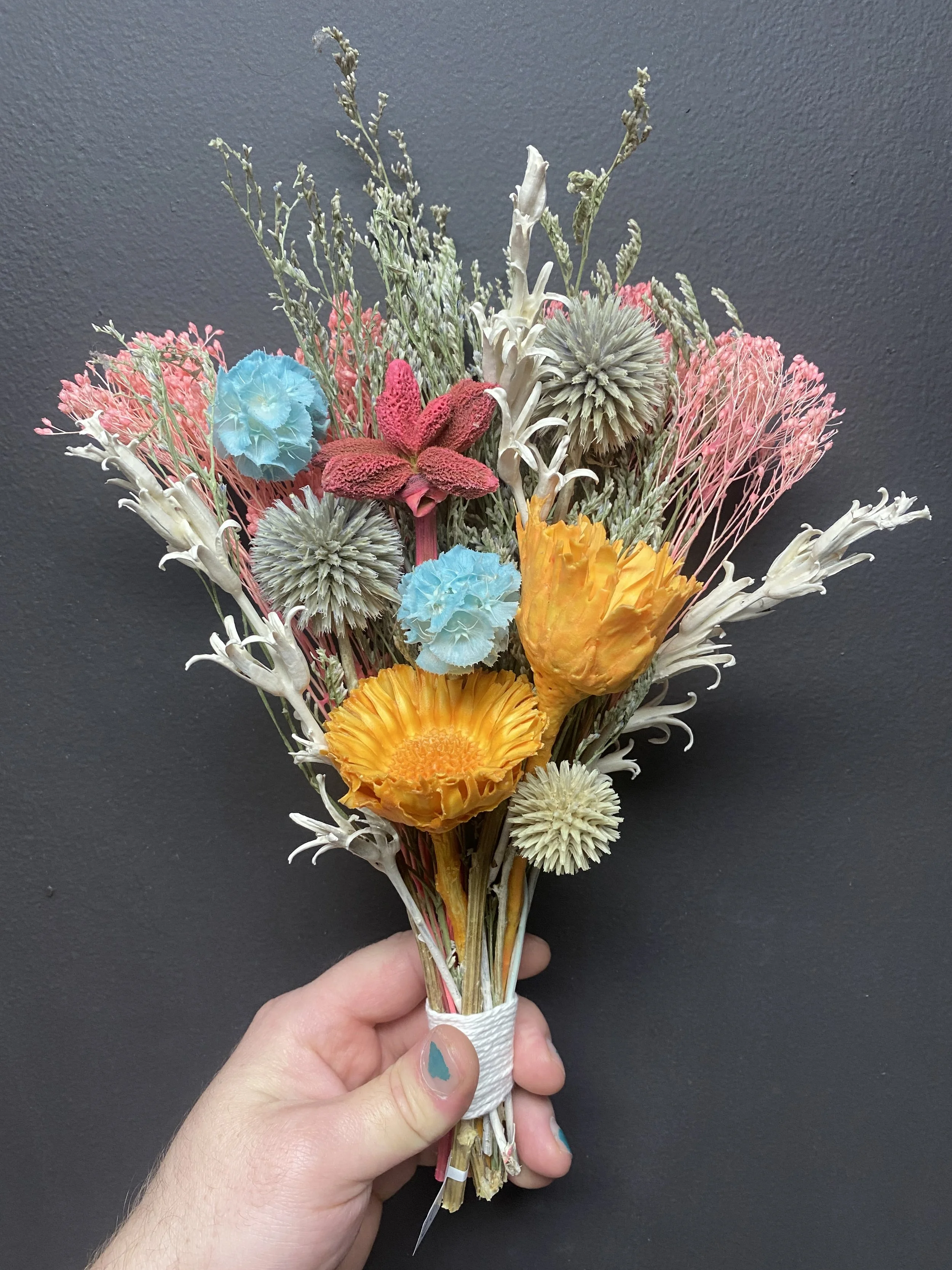 Photo Apr 28 2026, 12 08 01 PM.jpg