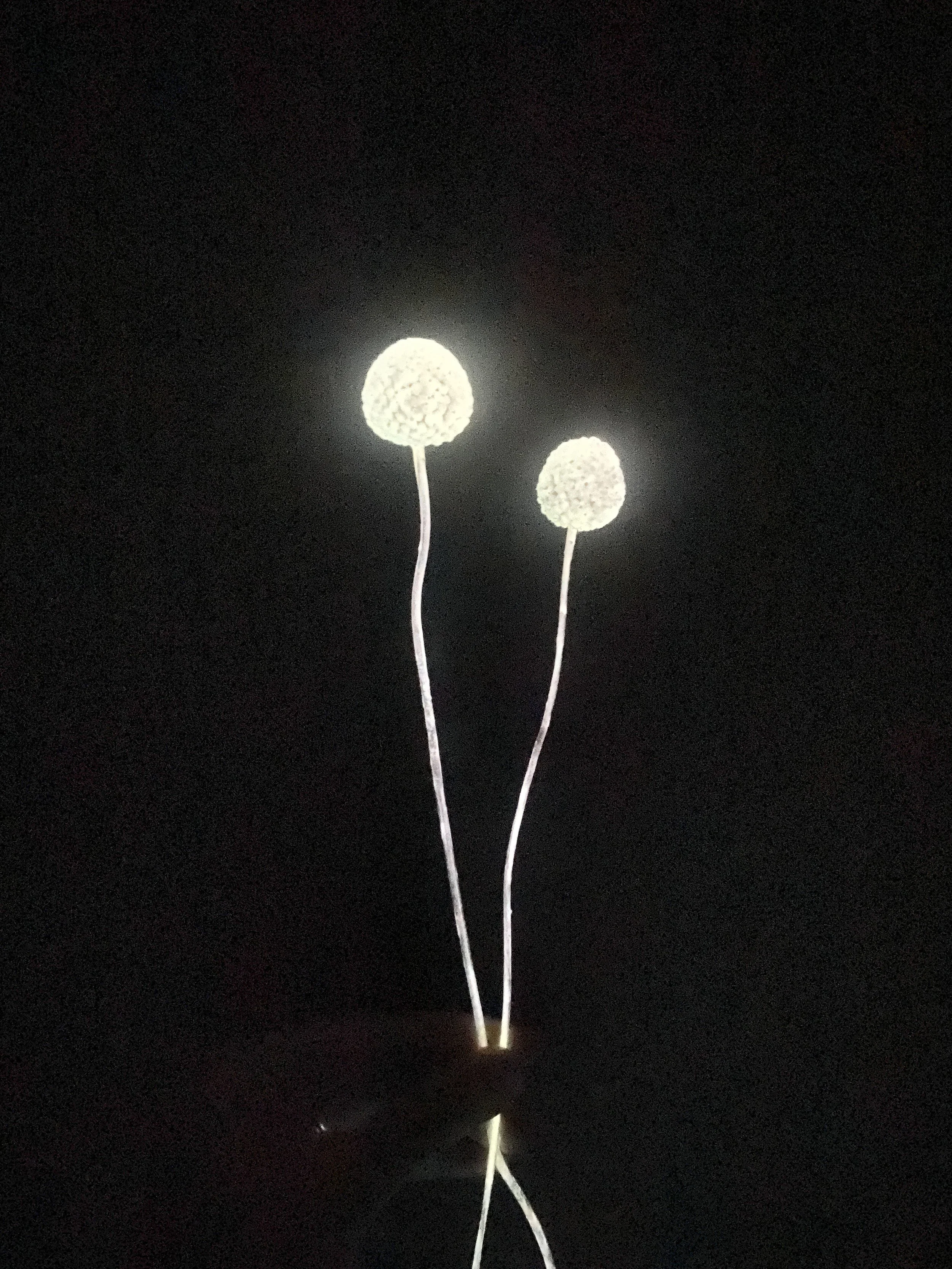 Photo Apr 14 2026, 10 29 57 AM.jpg