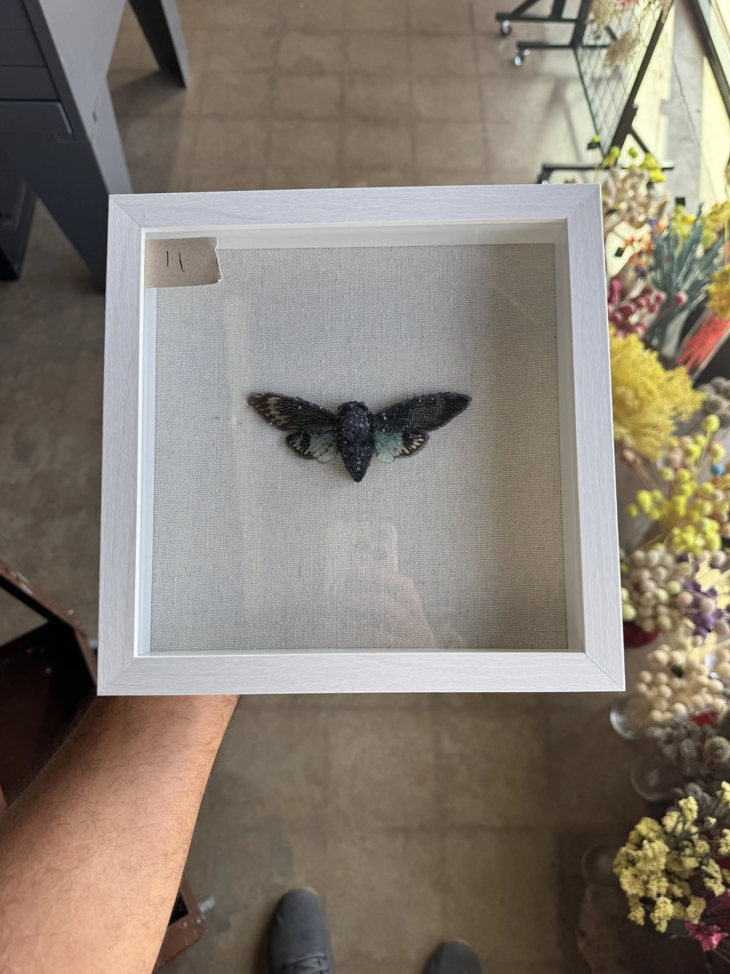 Photo Apr 29 2026, 10 06 43 AM.jpg