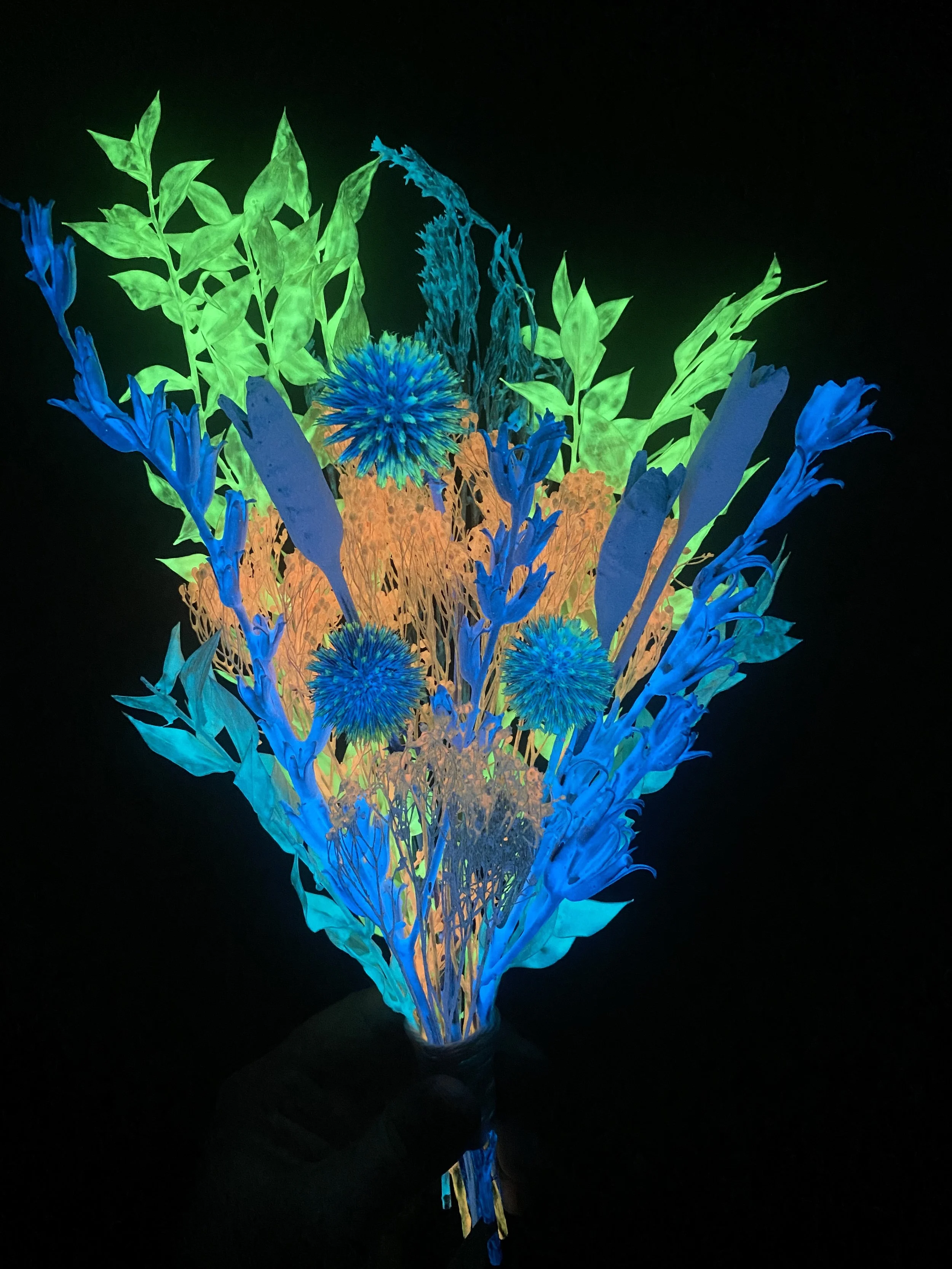 Photo Apr 28 2026, 12 05 58 PM.jpg