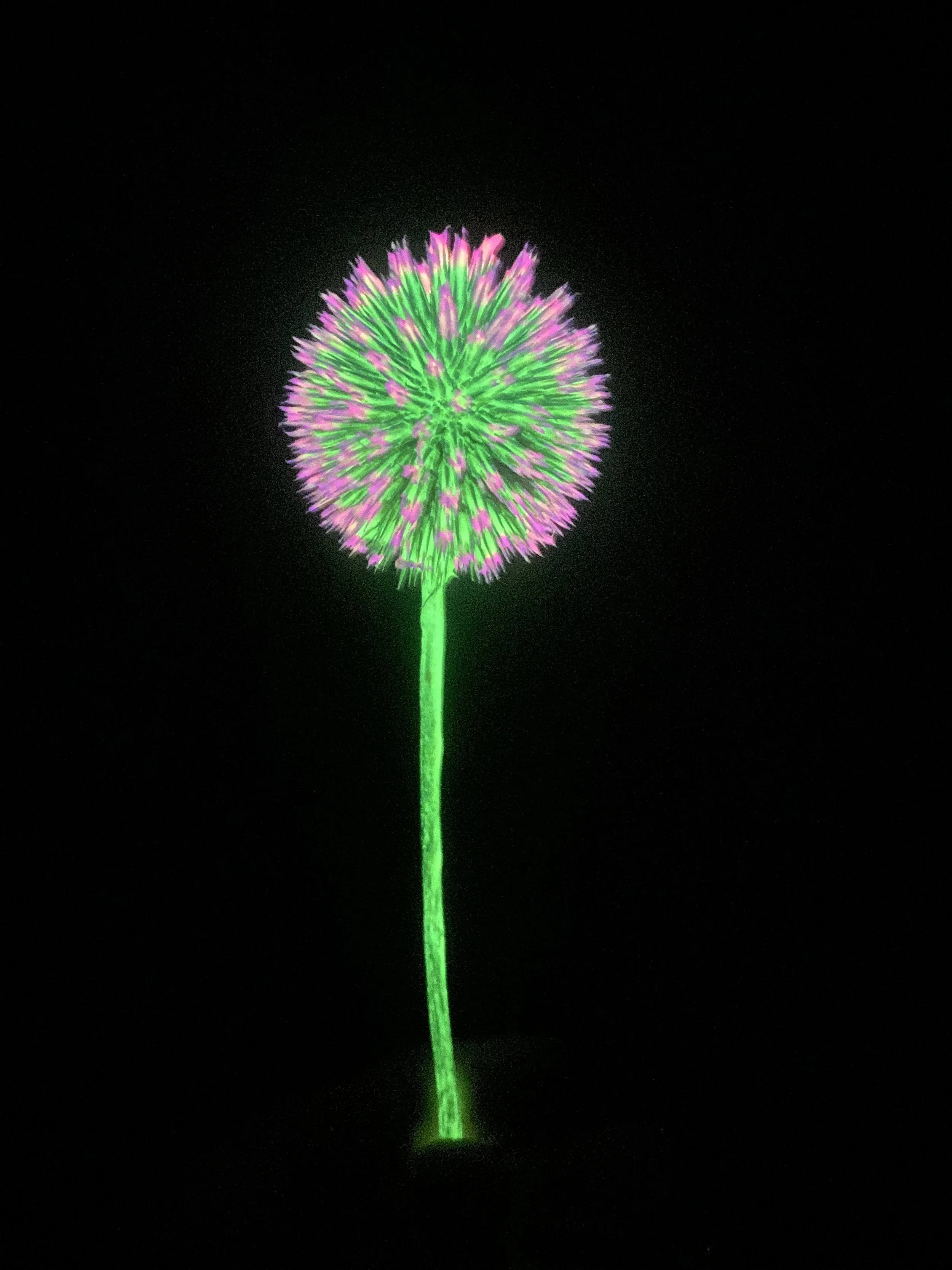 Moonbeam Flora Green and pink globe thistle