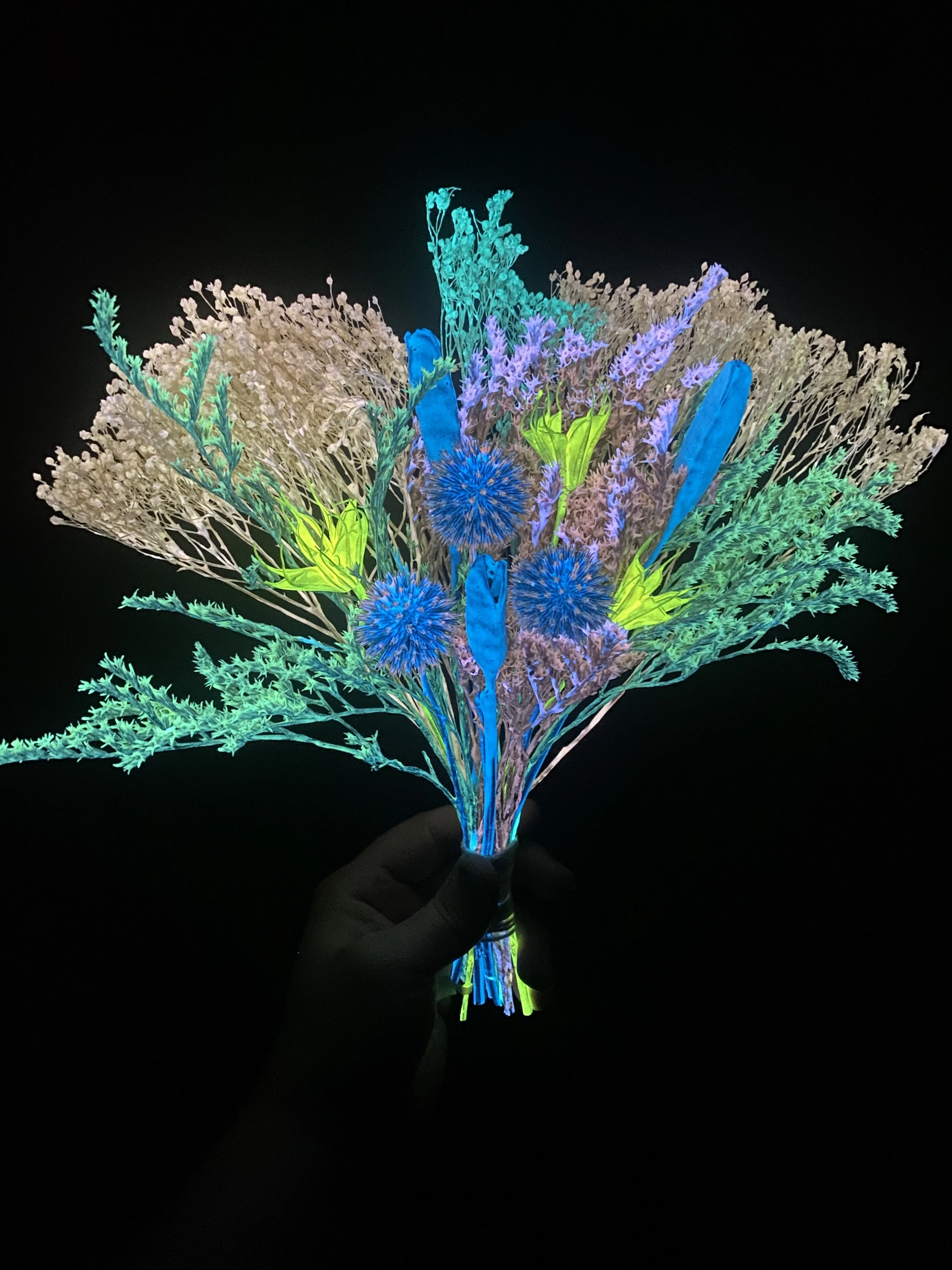 Photo Apr 28 2026, 1 19 32 PM.jpg