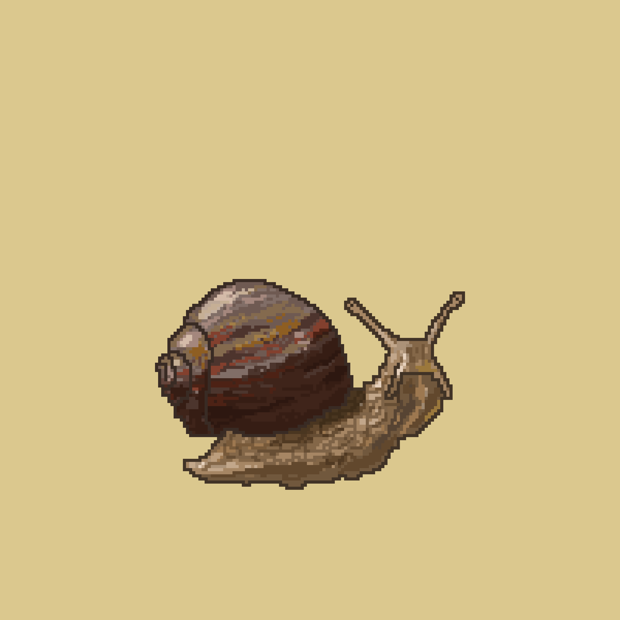 A Boring Snail