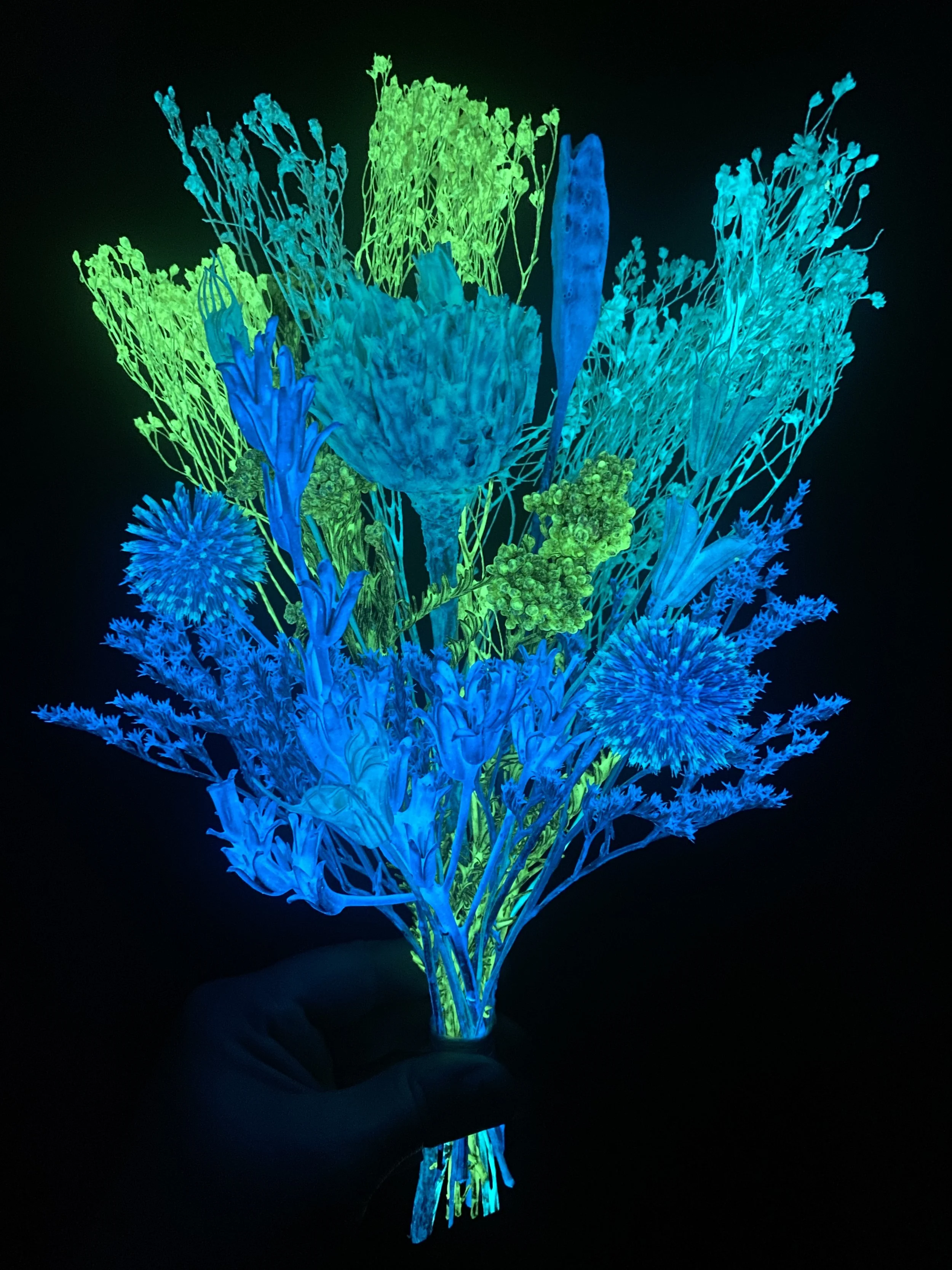 Photo Apr 28 2026, 11 34 56 AM.jpg