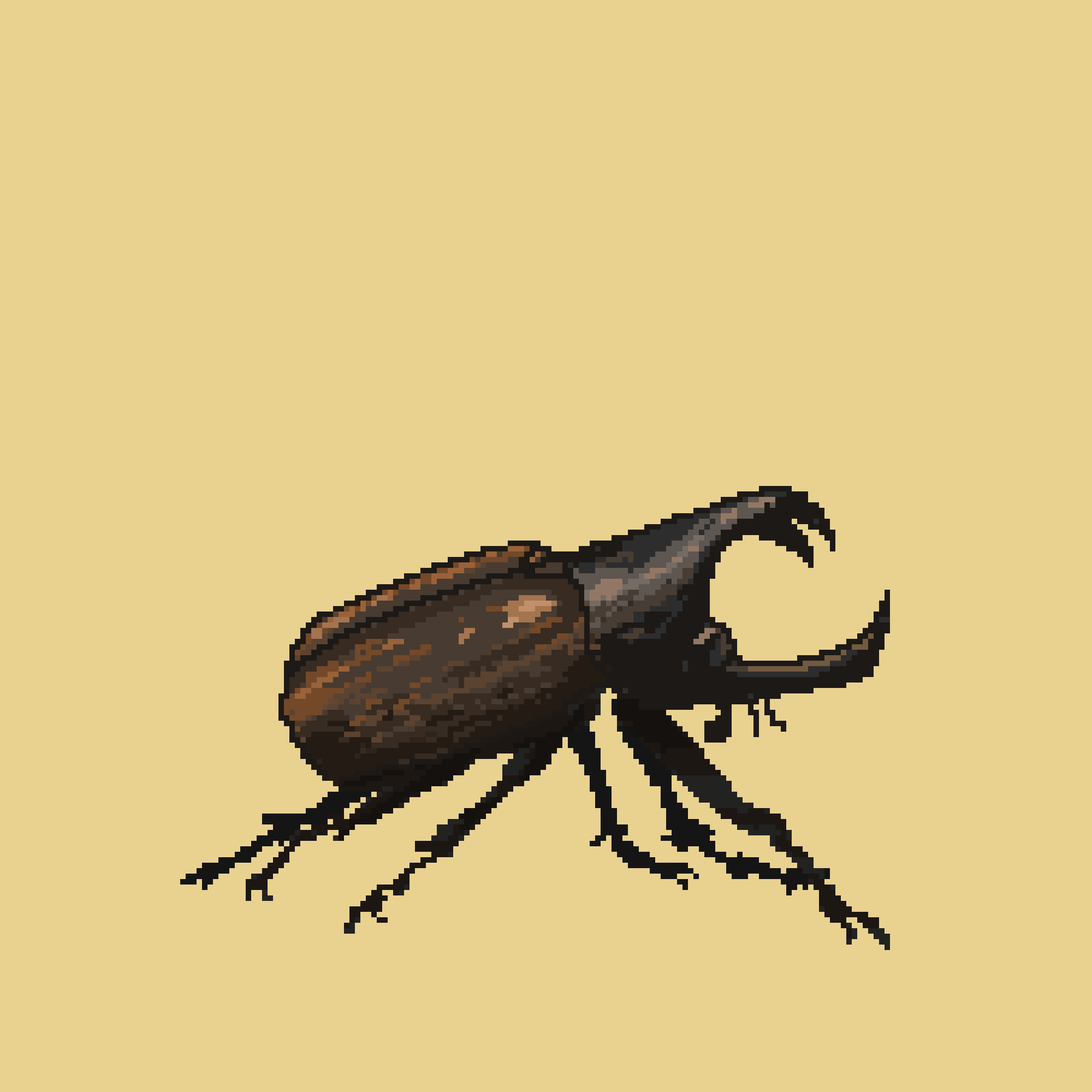Untitled 14.png