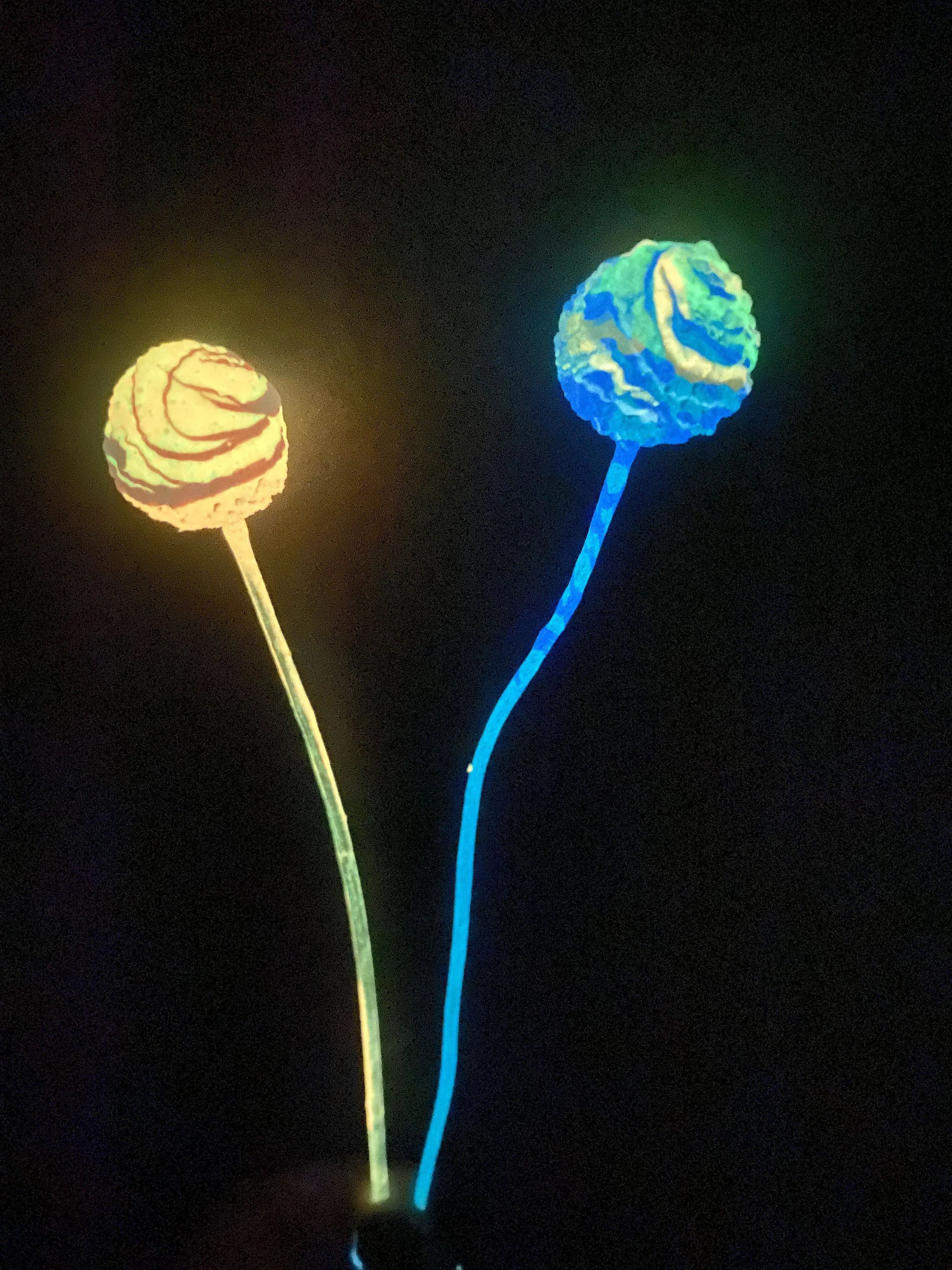 Photo Apr 15 2026, 10 28 27 AM.jpg