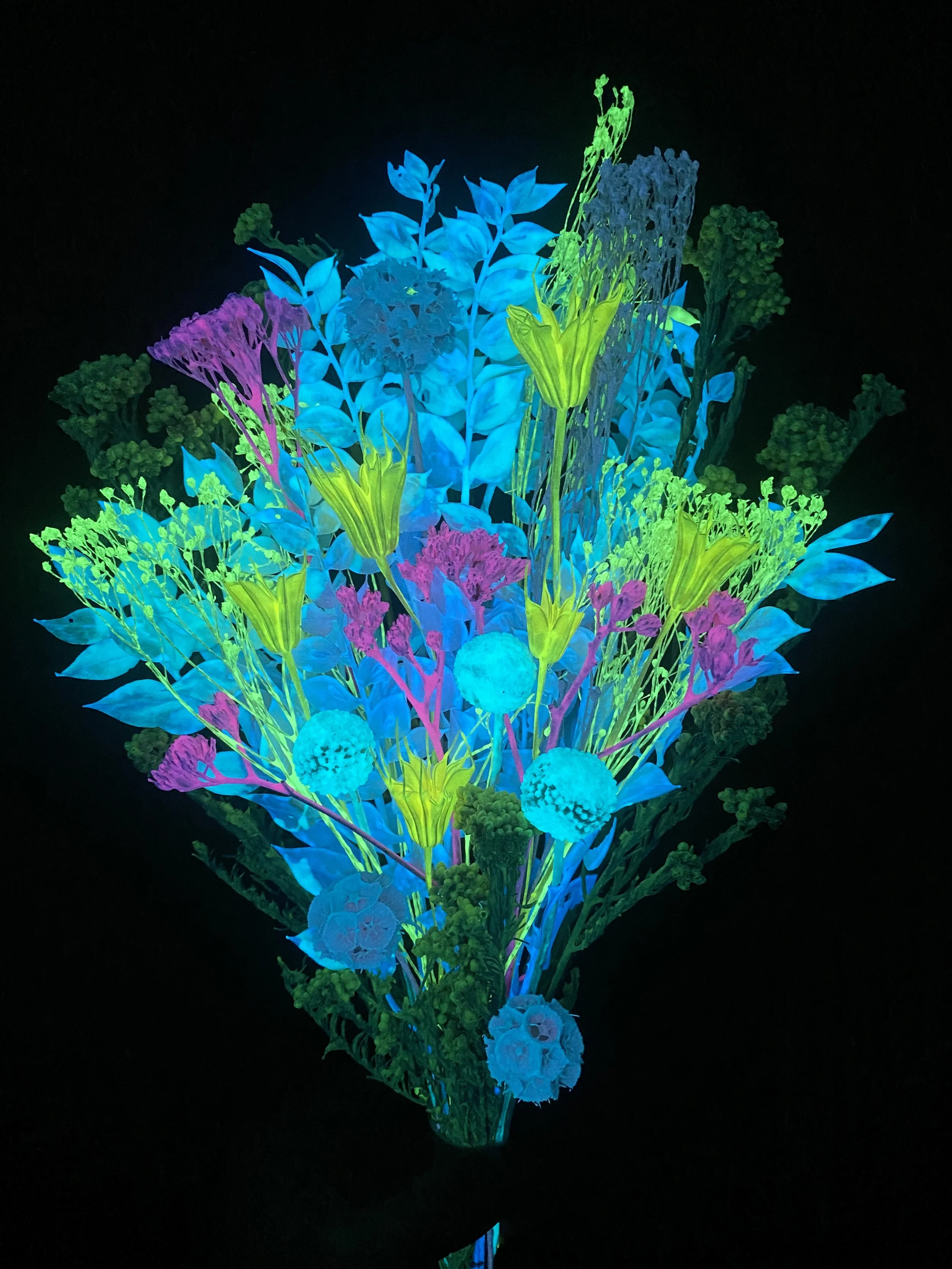 Photo Apr 28 2026, 1 30 02 PM.jpg