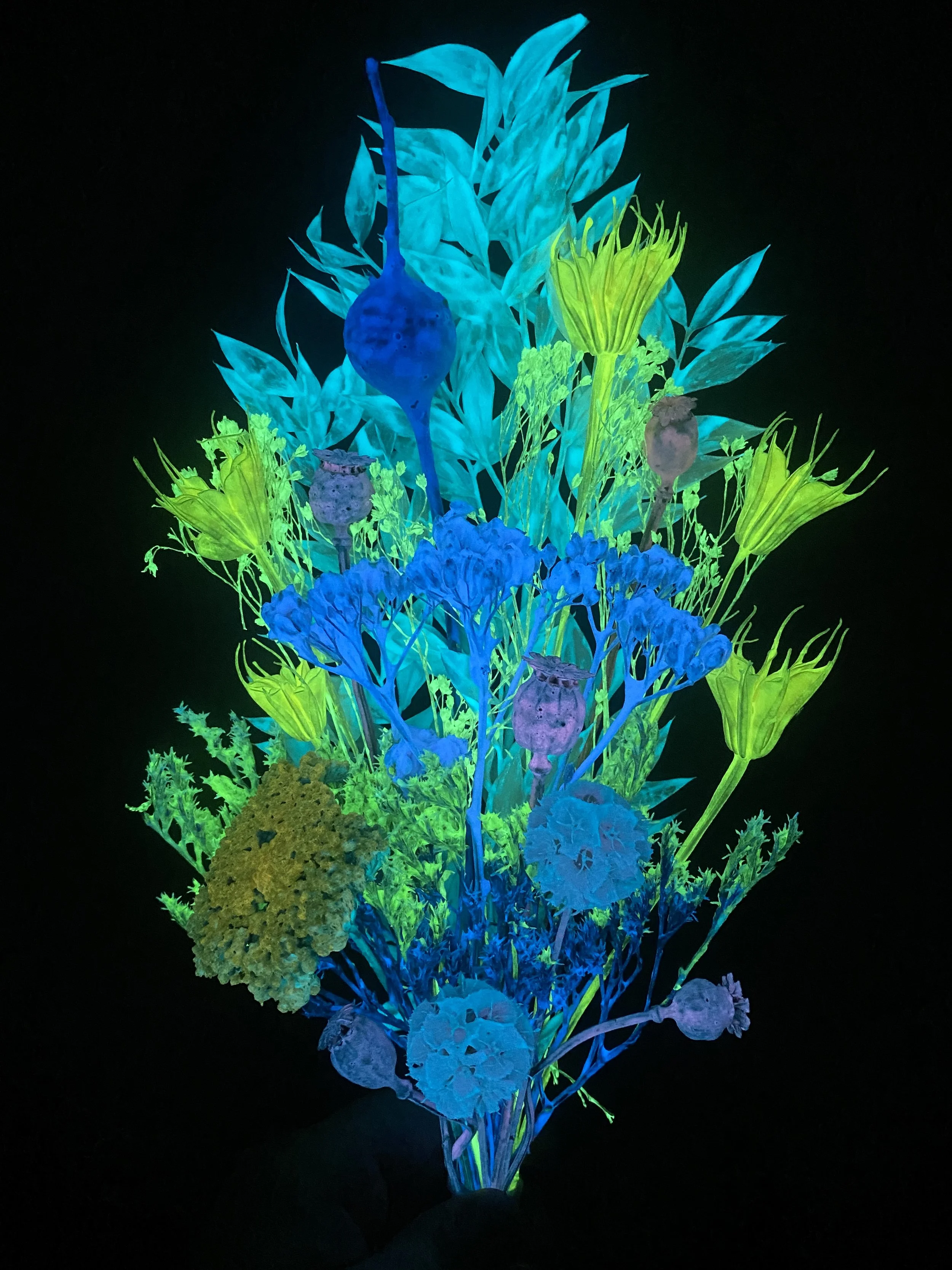 Photo Apr 28 2026, 1 16 52 PM.jpg