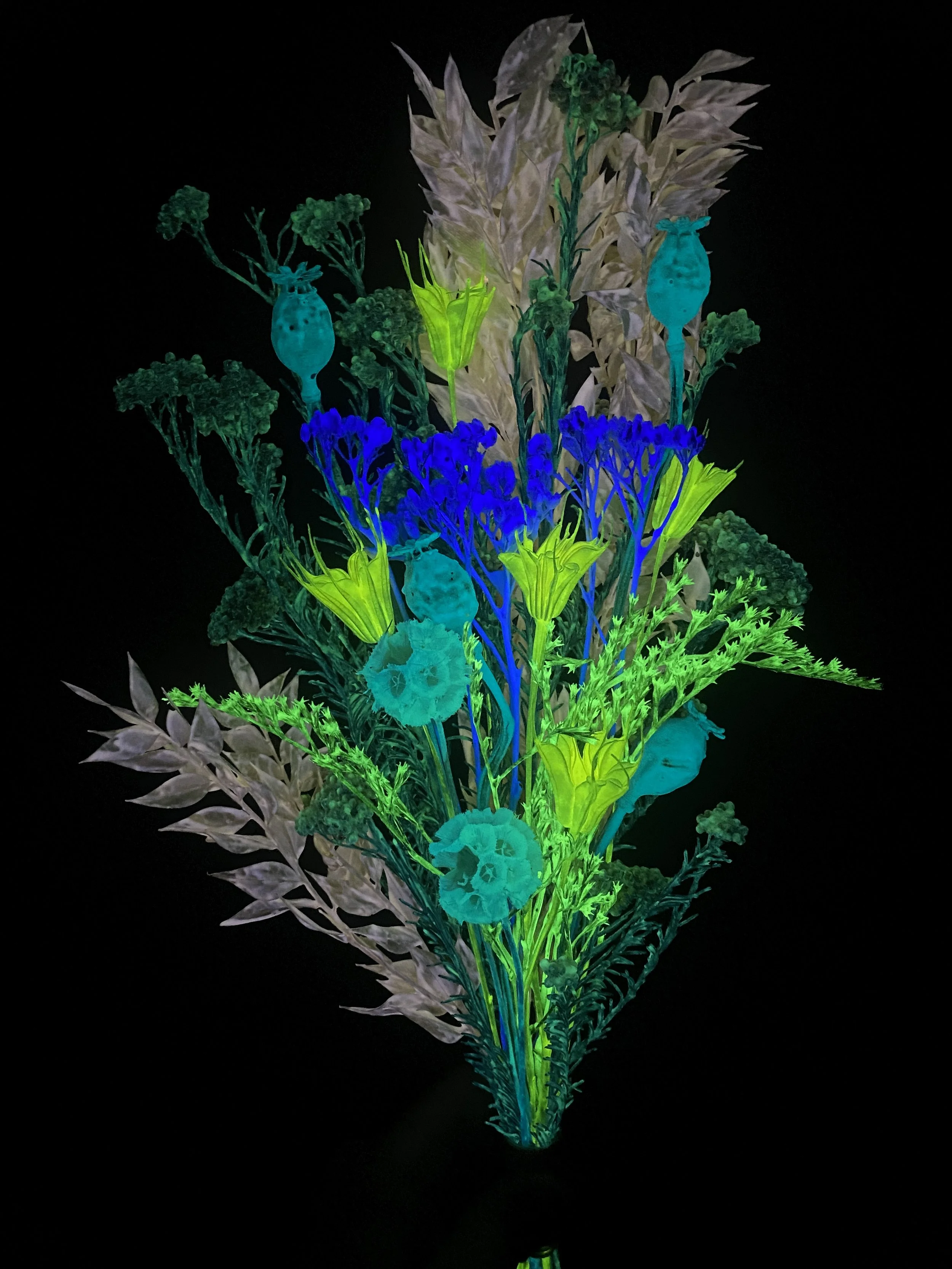 Photo Apr 28 2026, 1 32 12 PM.jpg