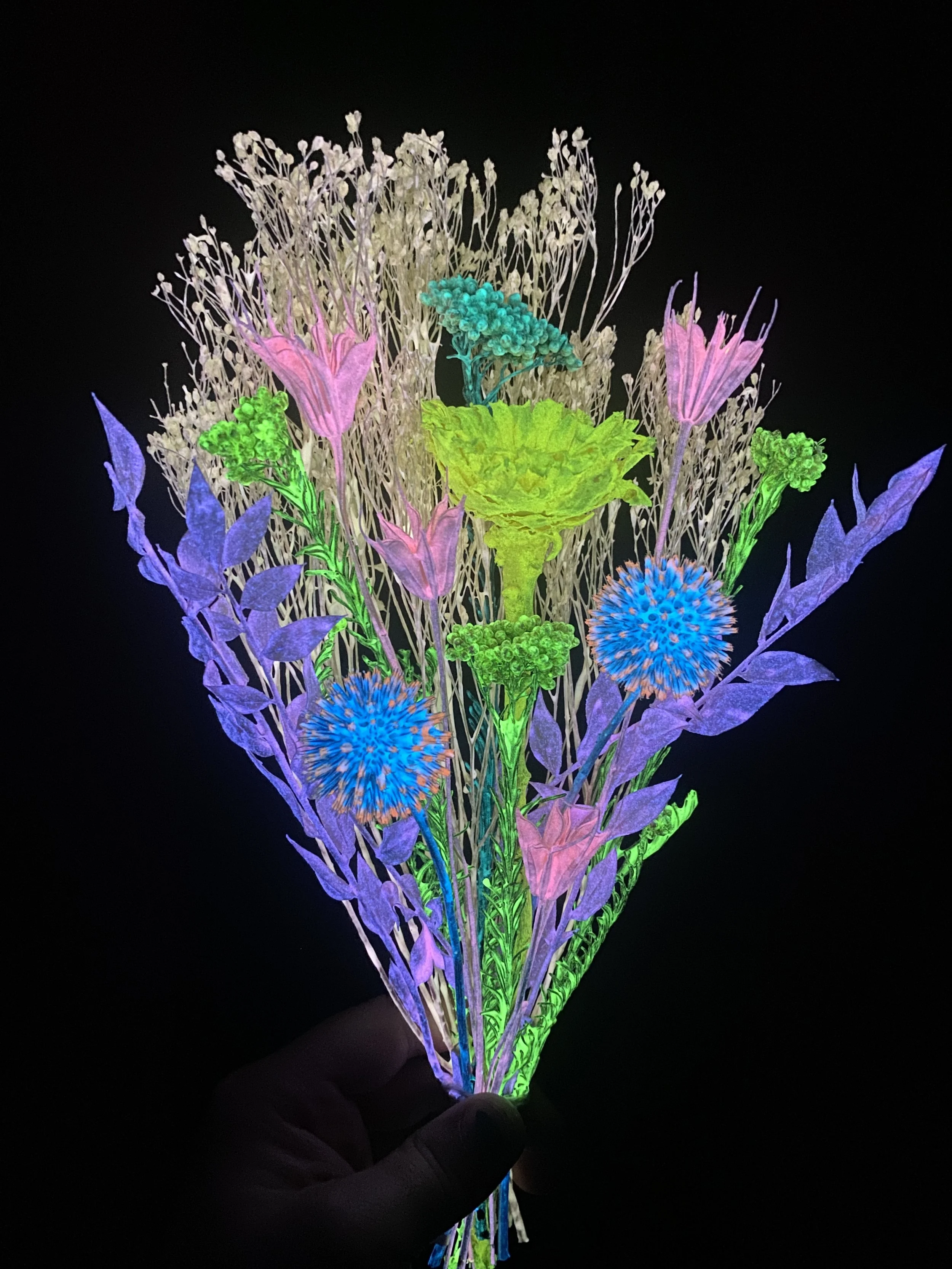 Photo Apr 28 2026, 12 18 24 PM.jpg