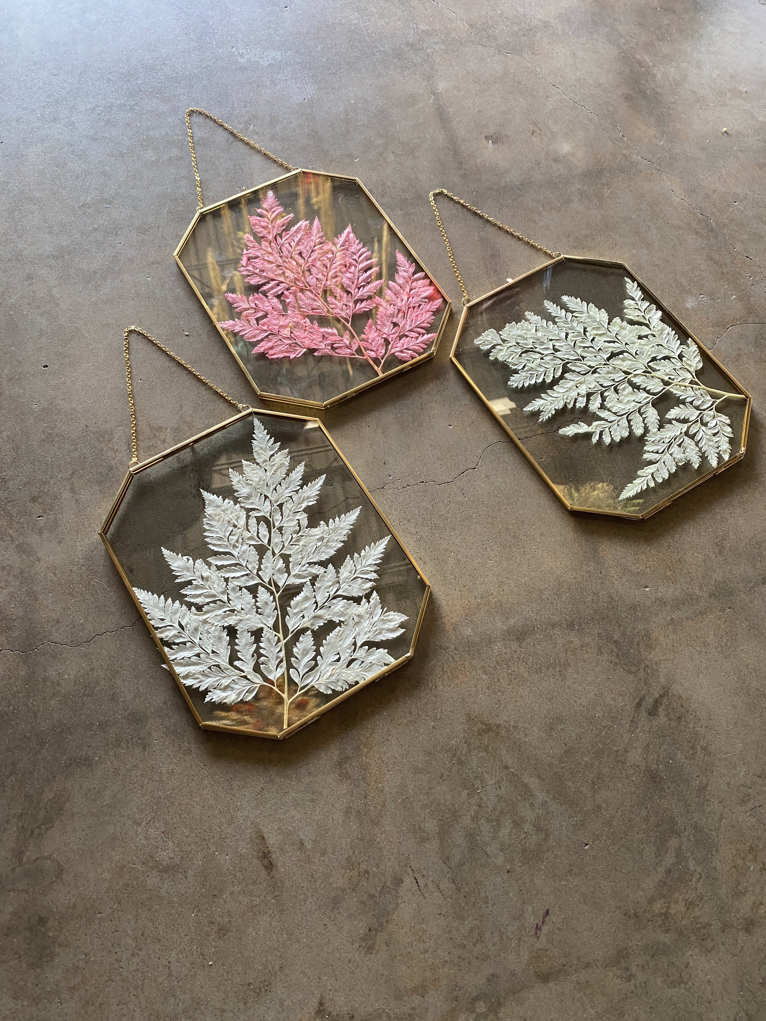 Photo Feb 26 2026, 11 38 25 AM.jpg