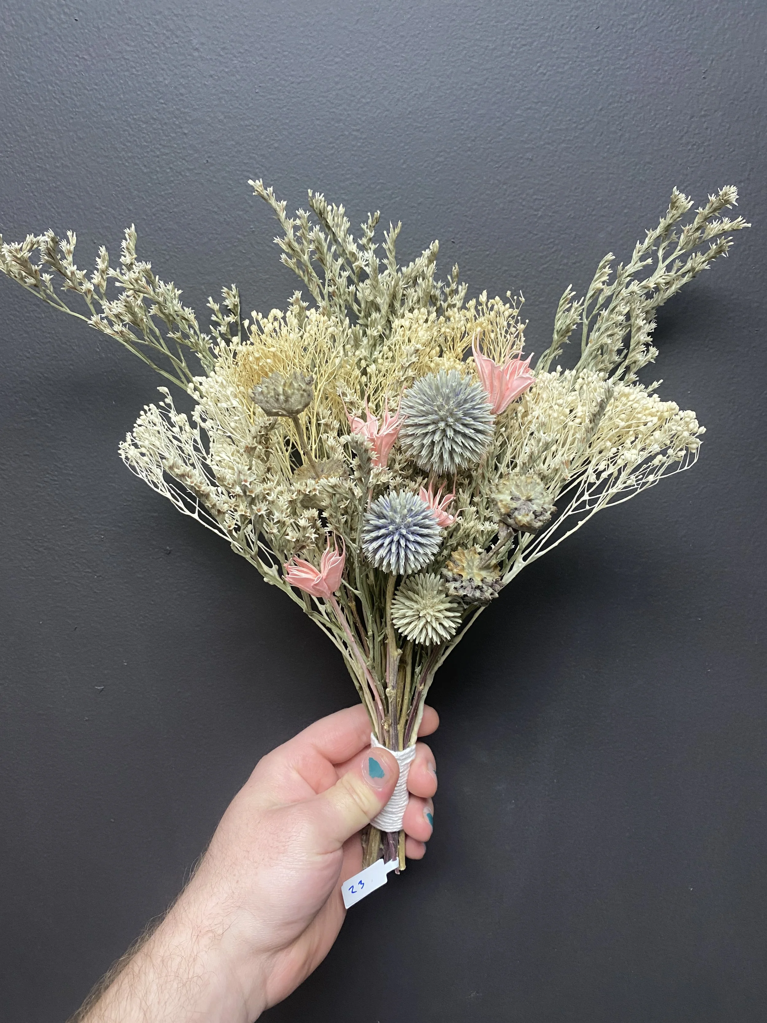 Photo Apr 28 2026, 12 12 40 PM.jpg