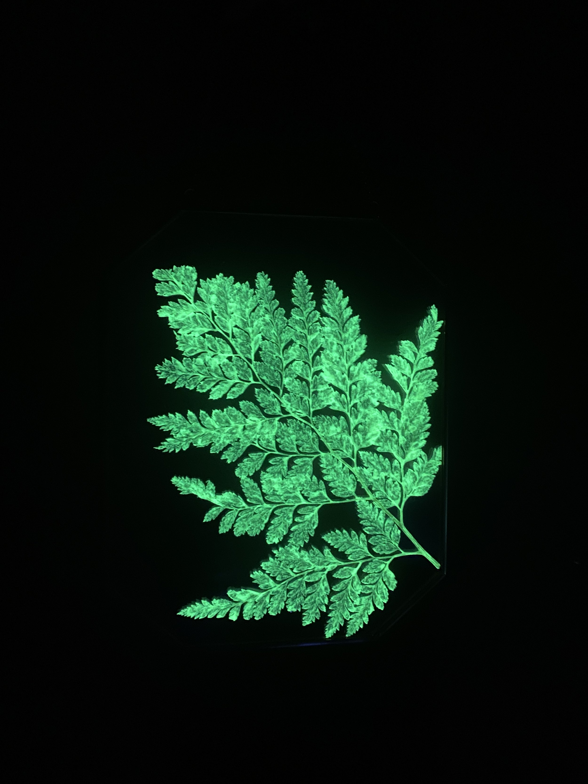 Photo Feb 26 2026, 11 42 50 AM.jpg