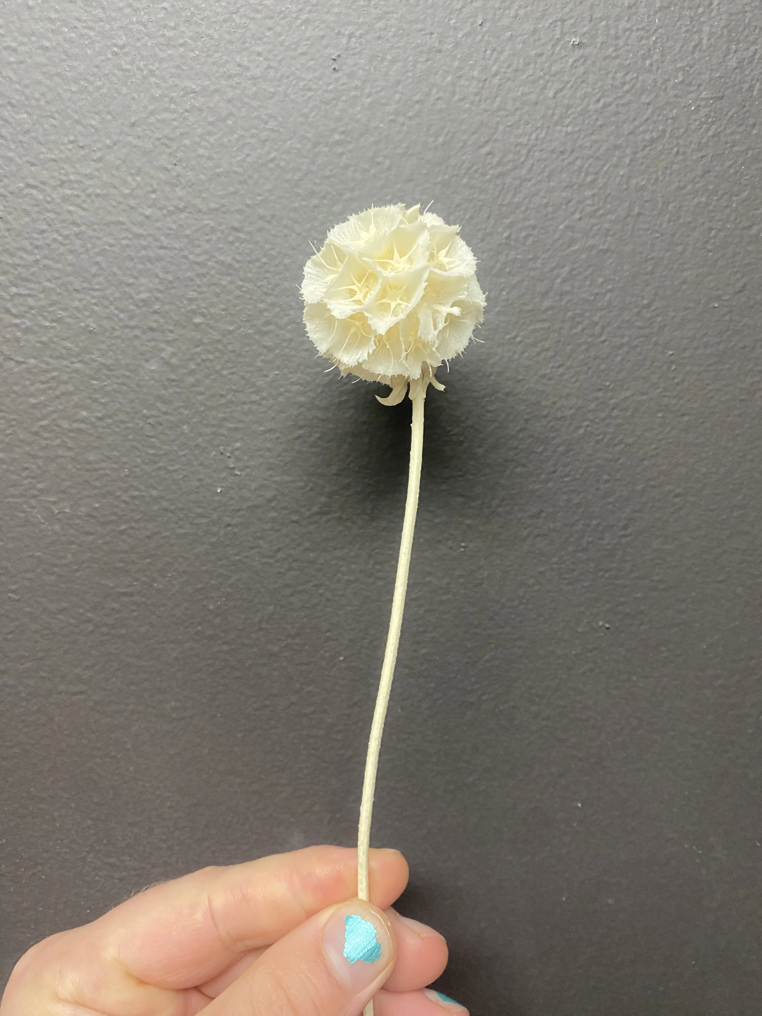 Photo Apr 29 2026, 1 45 28 PM (1).jpg