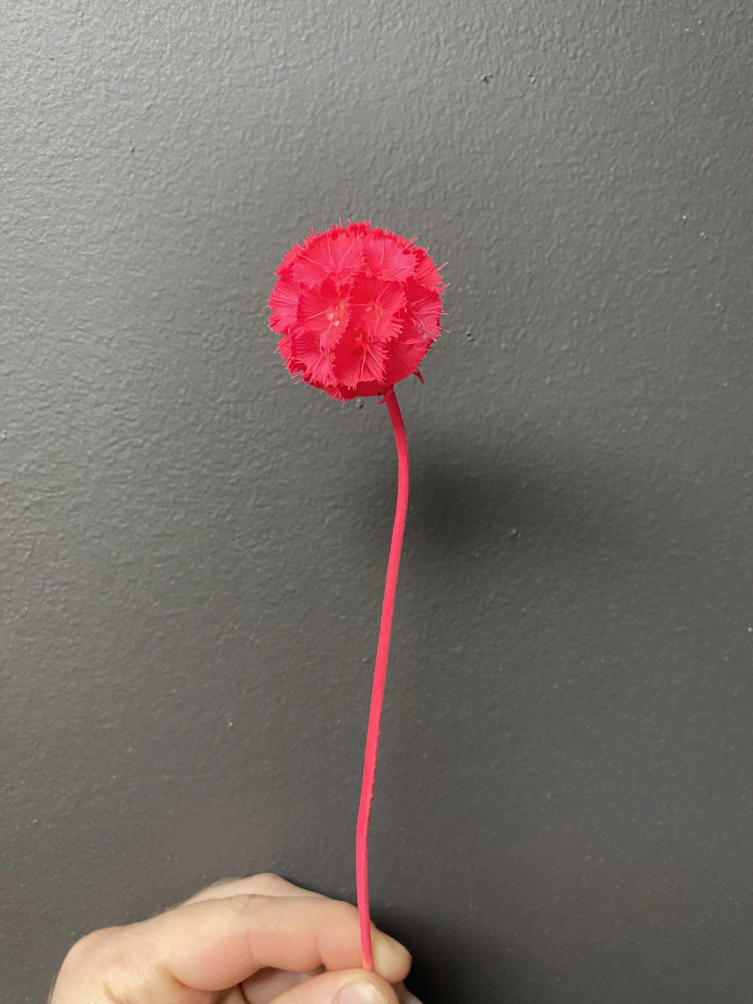 Photo Jan 14 2026, 4 53 46 PM.jpg