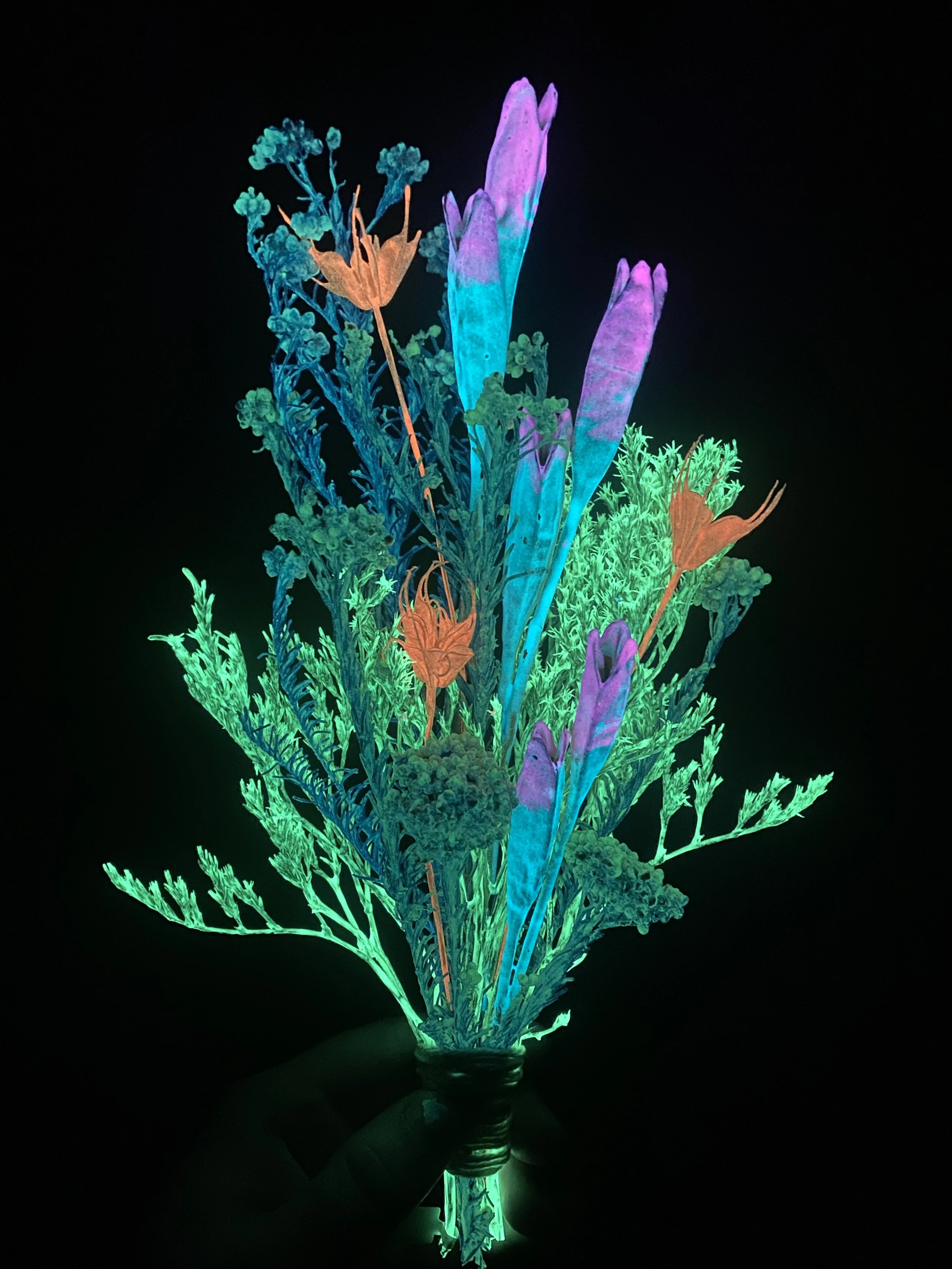 Photo Apr 28 2026, 10 38 30 AM.jpg