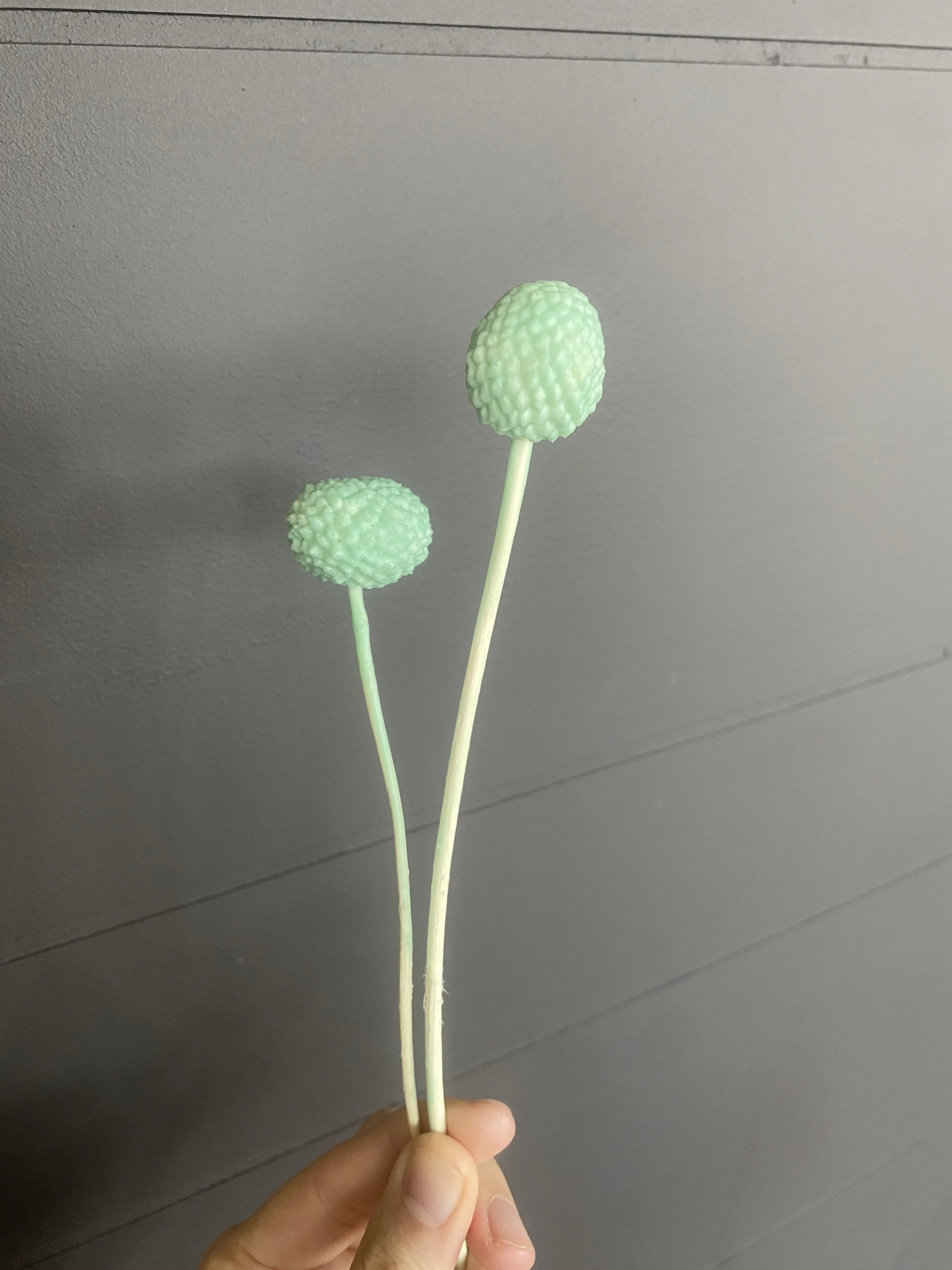 Moonbeam Flora Mist Billy Ball DUO