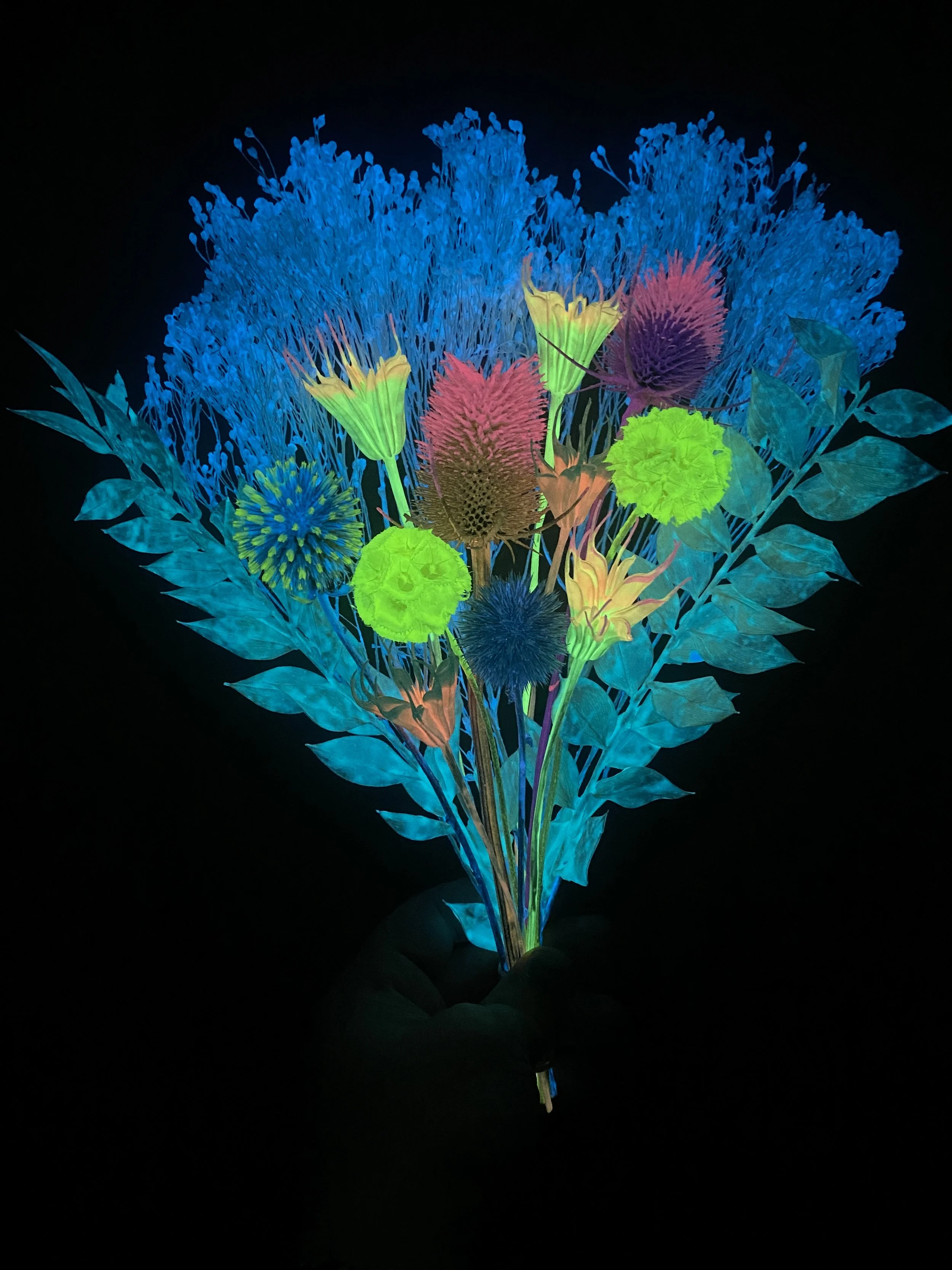 Photo Apr 17 2026, 4 02 17 PM.jpg