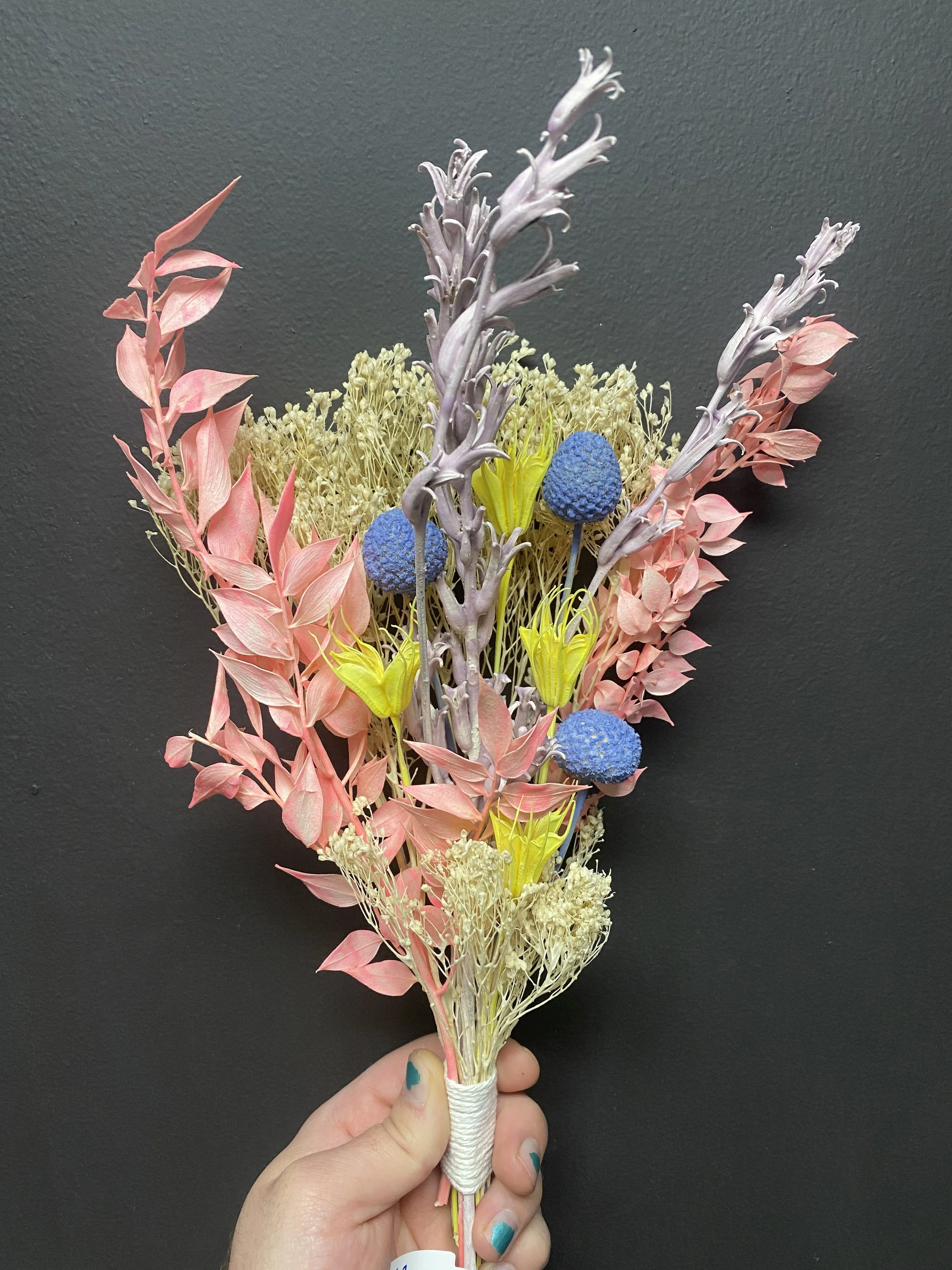 Photo Apr 28 2026, 11 08 32 AM.jpg