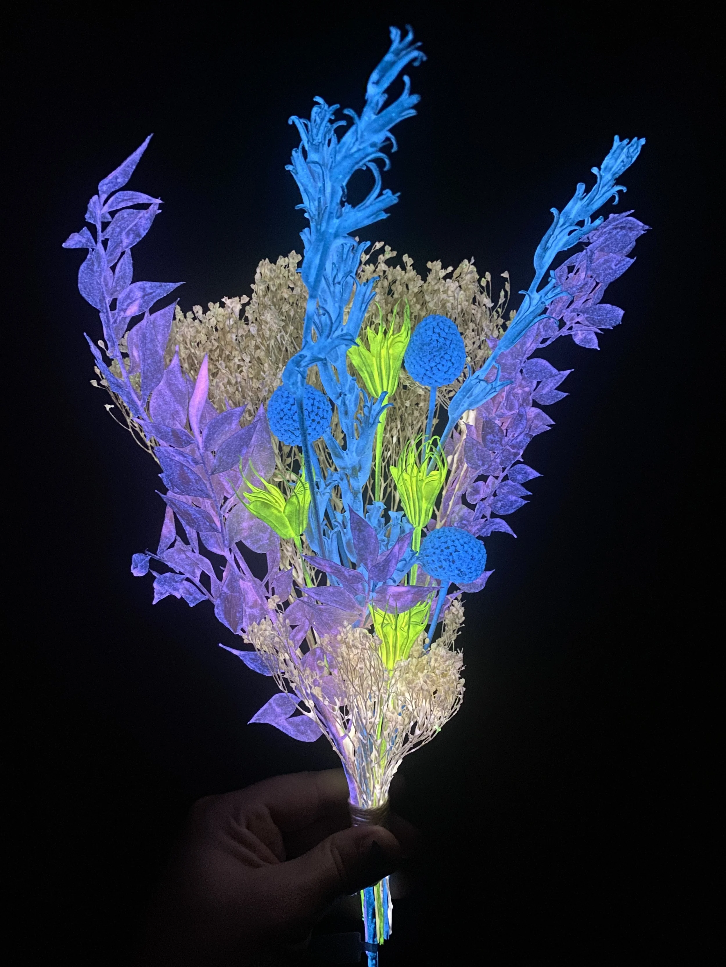 Photo Apr 28 2026, 11 09 19 AM.jpg