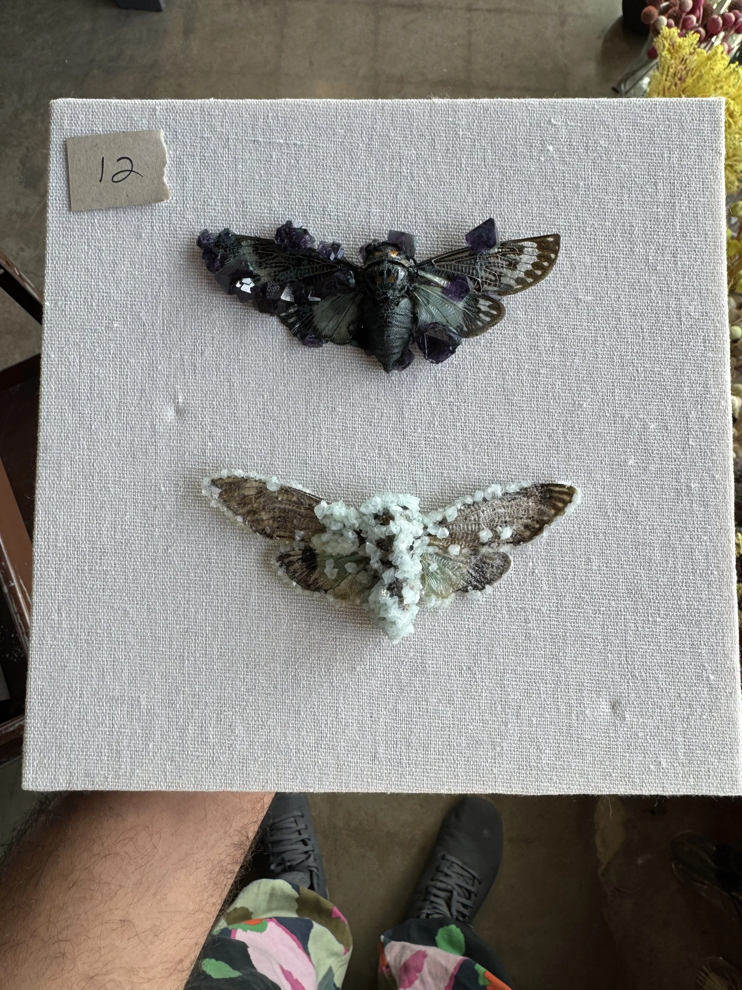 Photo Apr 29 2026, 10 00 51 AM.jpg