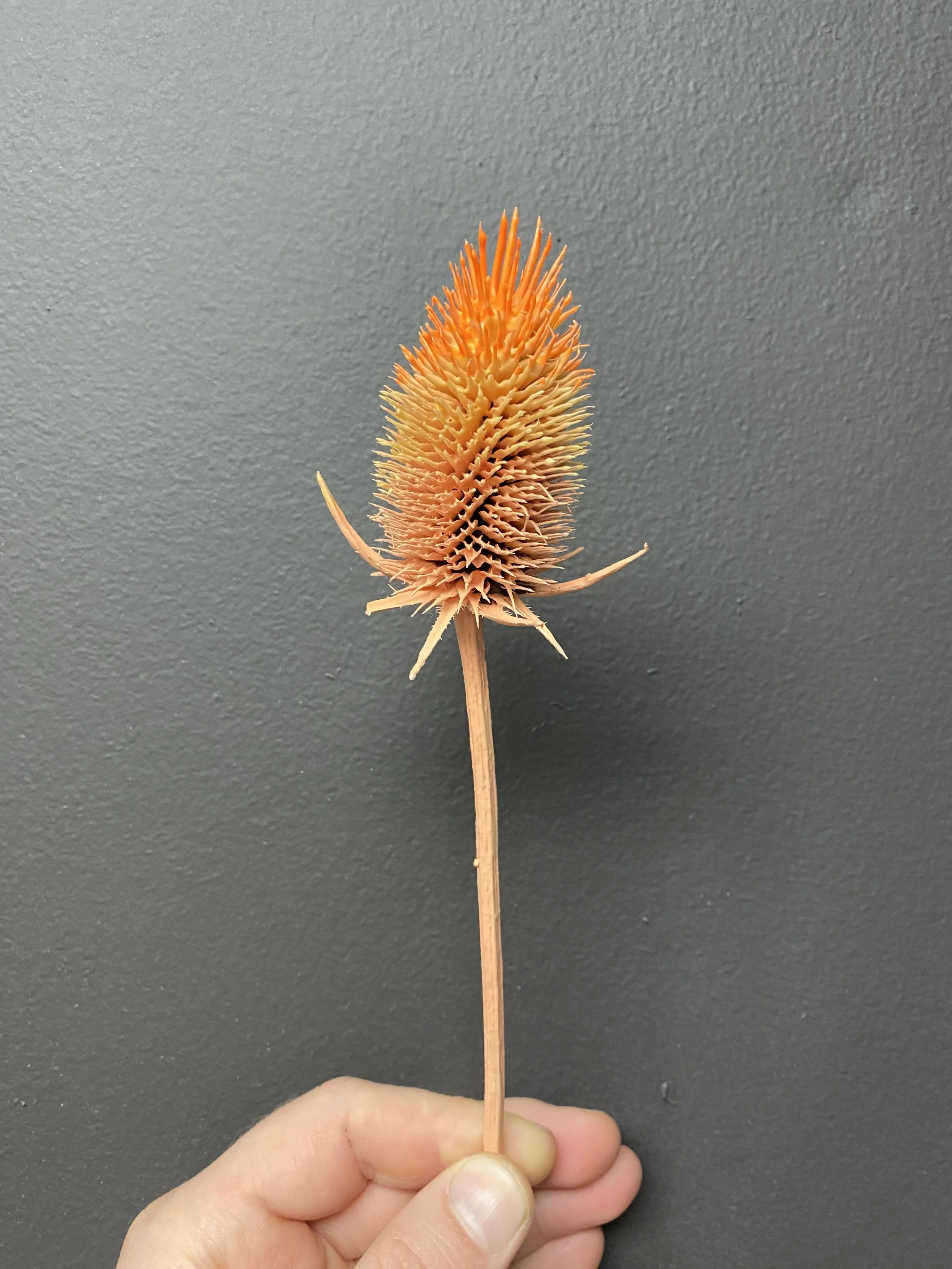 Photo Mar 13 2026, 2 08 32 PM.jpg