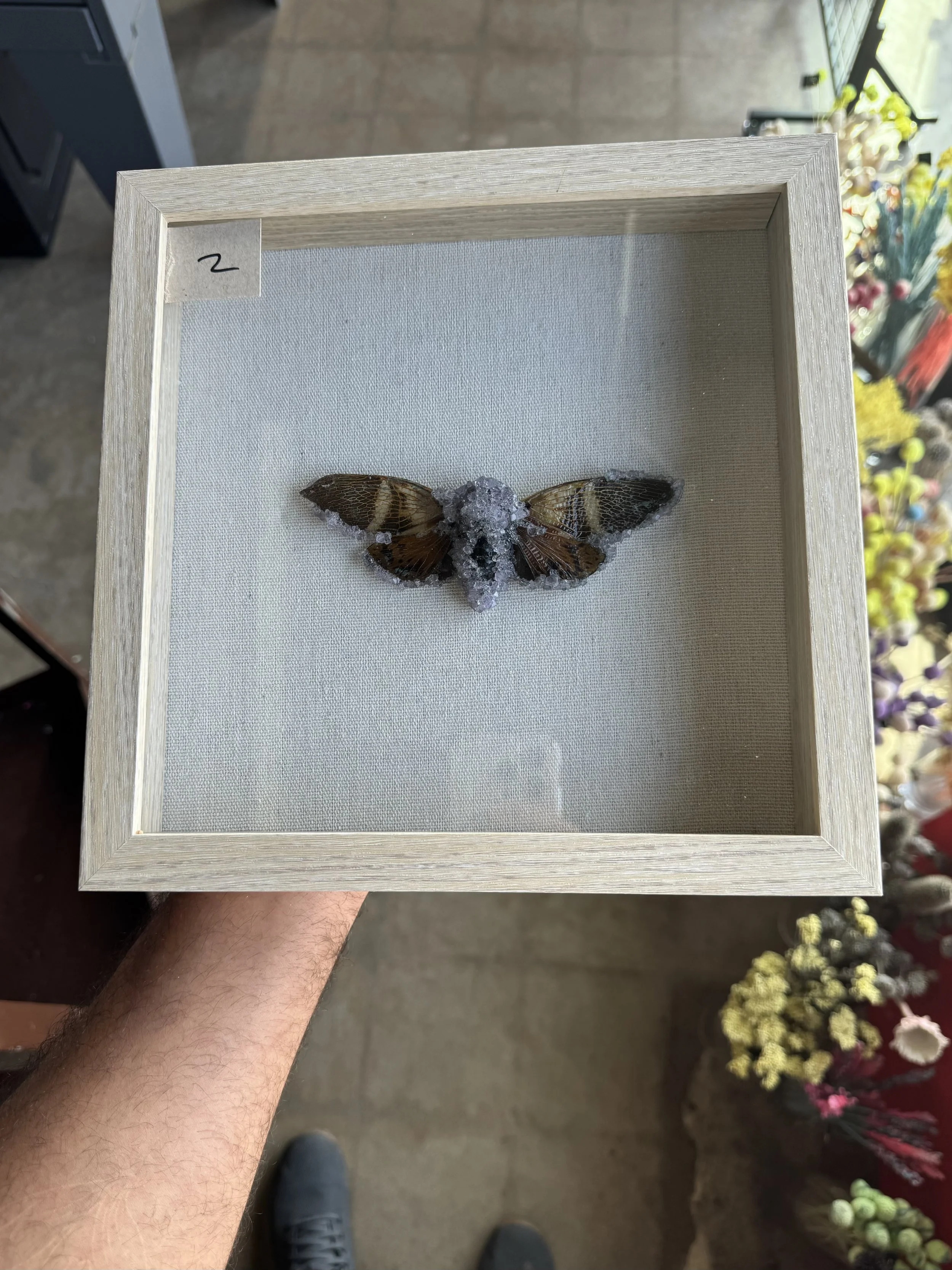 Photo Apr 29 2026, 10 09 39 AM.jpg