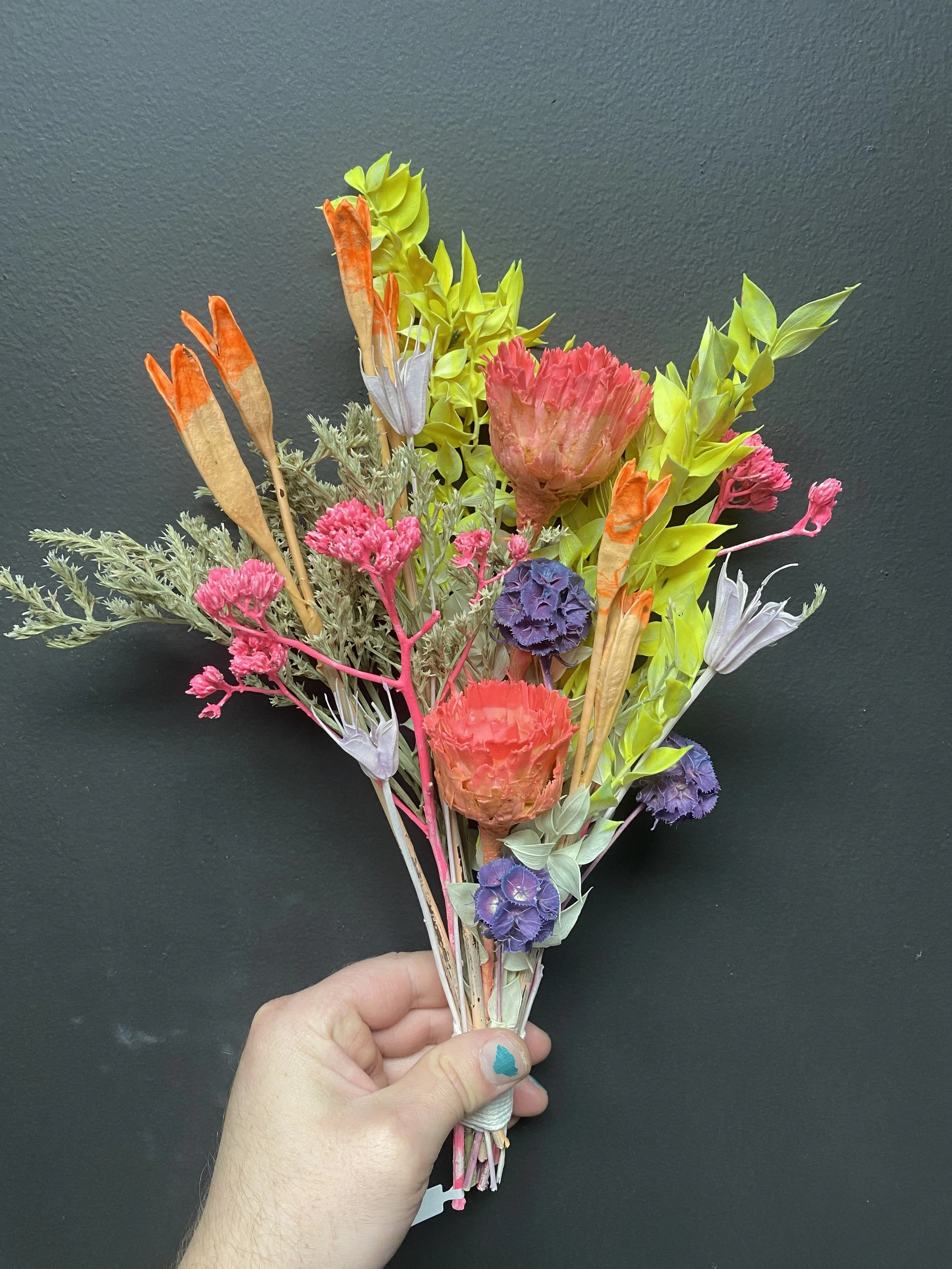 Photo Apr 28 2026, 1 11 53 PM.jpg