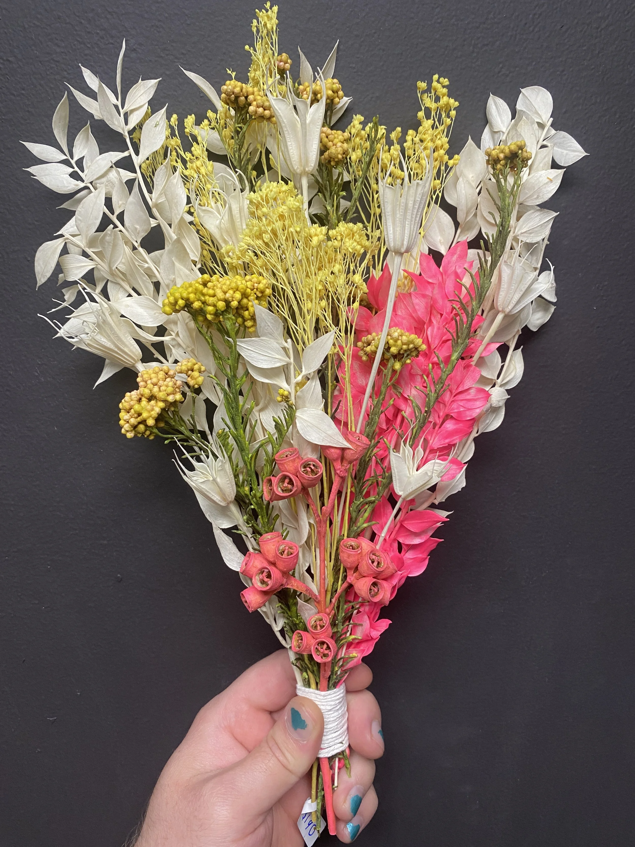 Photo Apr 28 2026, 1 14 01 PM.jpg